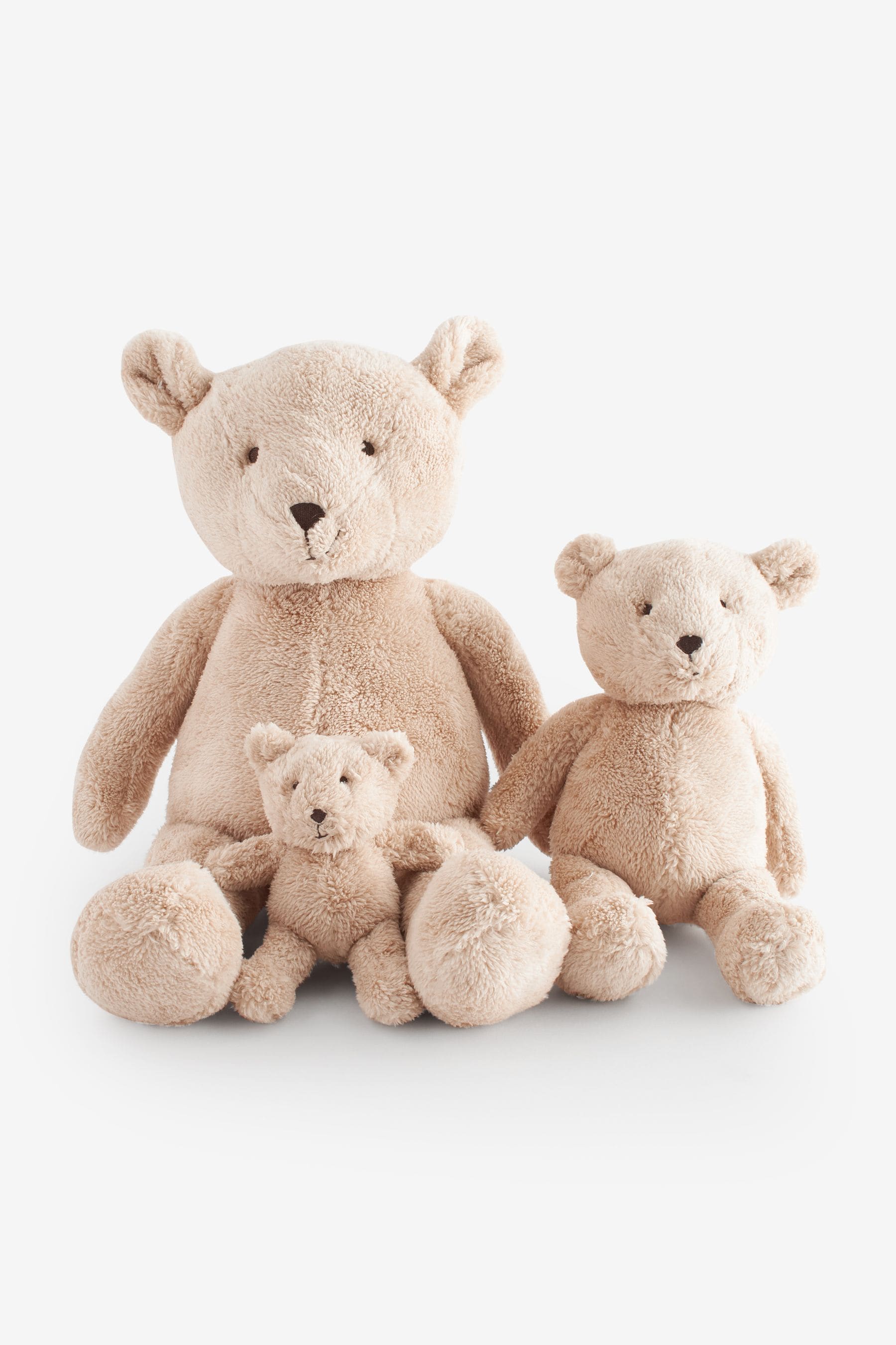 Next teddy hot sale bear
