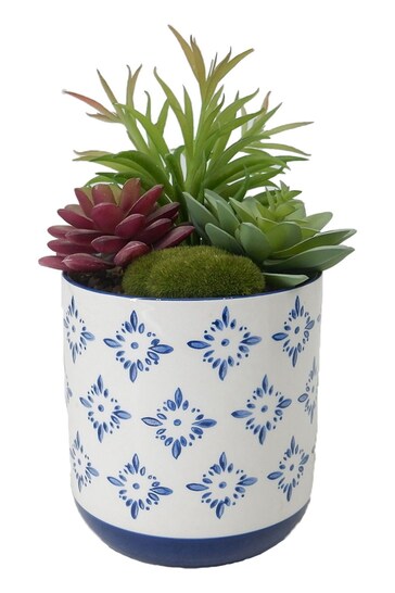 Bayswood Green 105H Succulent In Ceramic Pot