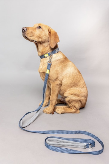 BUILT Blue Pet NightSafe™ Double Handled Medium Dog Lead