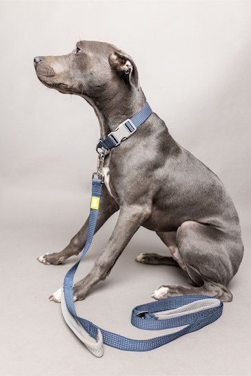 BUILT Blue Pet NightSafe™ Double Handled Large Dog Lead