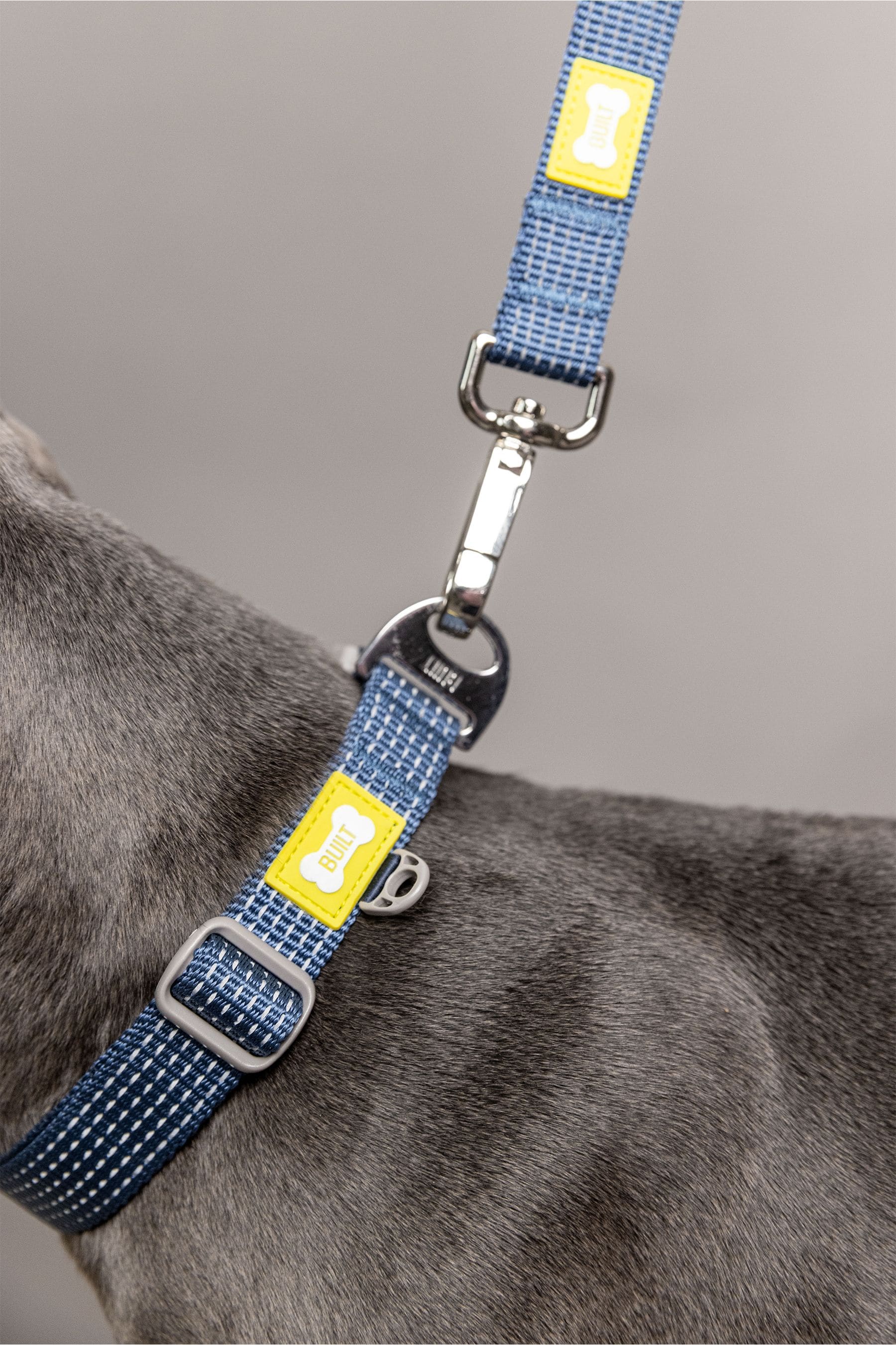 Buy BUILT Blue Pet NightSafe Double Handled Large Dog Lead from the Next UK online shop