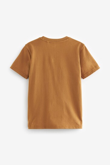Black/Tan Brown 2 Pack Colourblock Short Sleeve T-Shirts (3-16yrs)