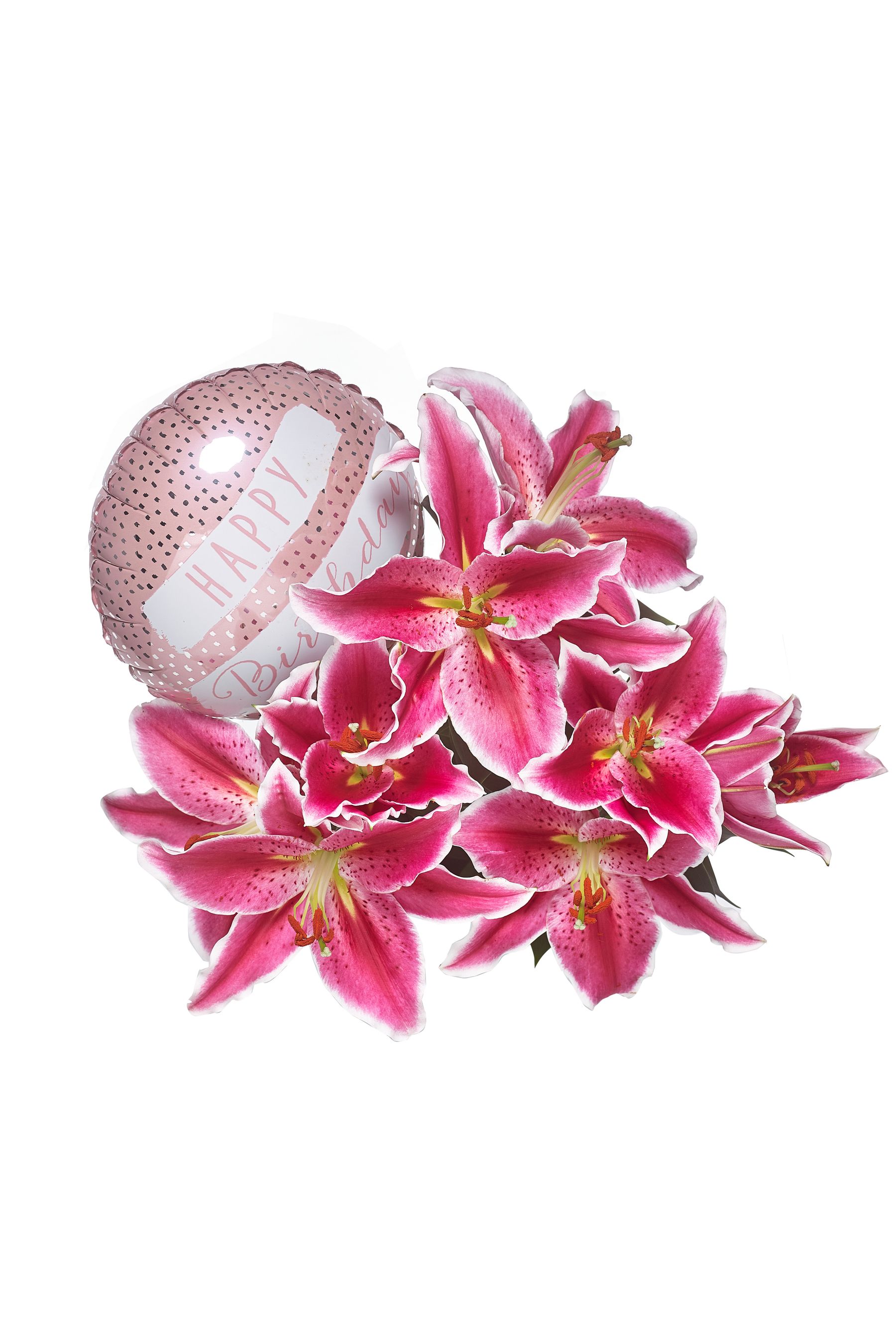 Buy Pink Oriental Lily and Birthday Balloon Real Plant Gift Bag