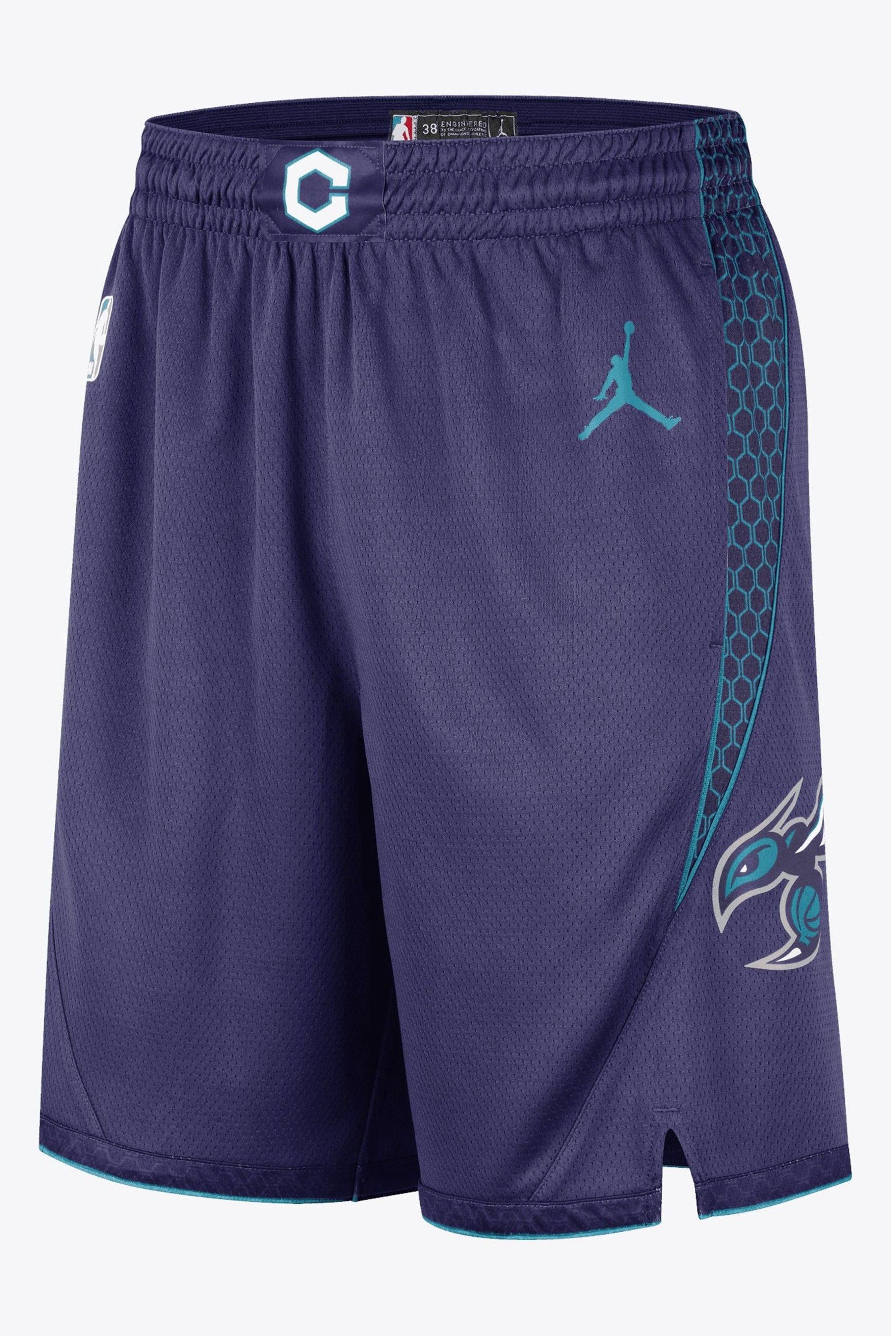 Charlotte hornets nike shorts top