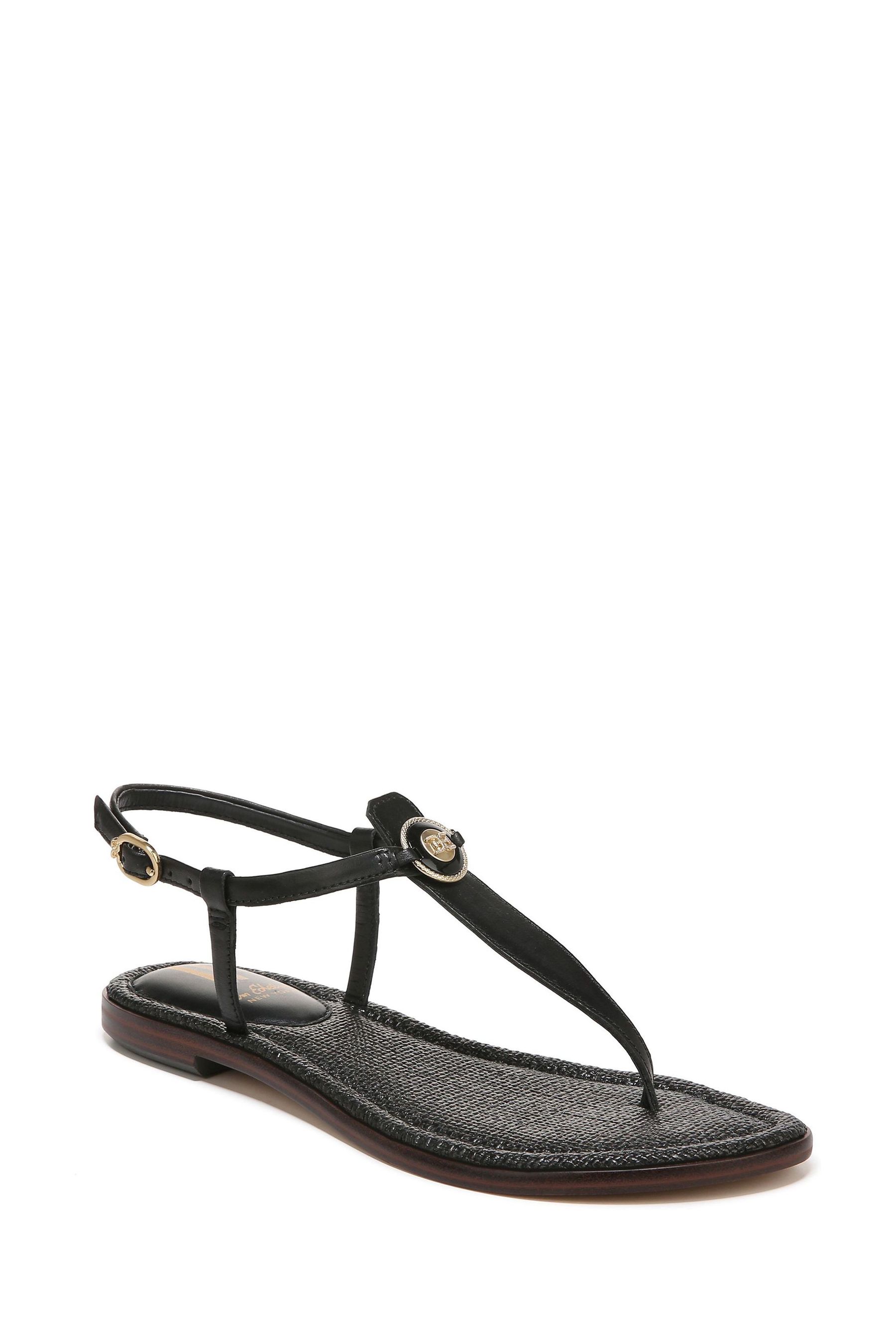 Buy Sam Edelman Gigi Thong Sandals from the Next UK online shop