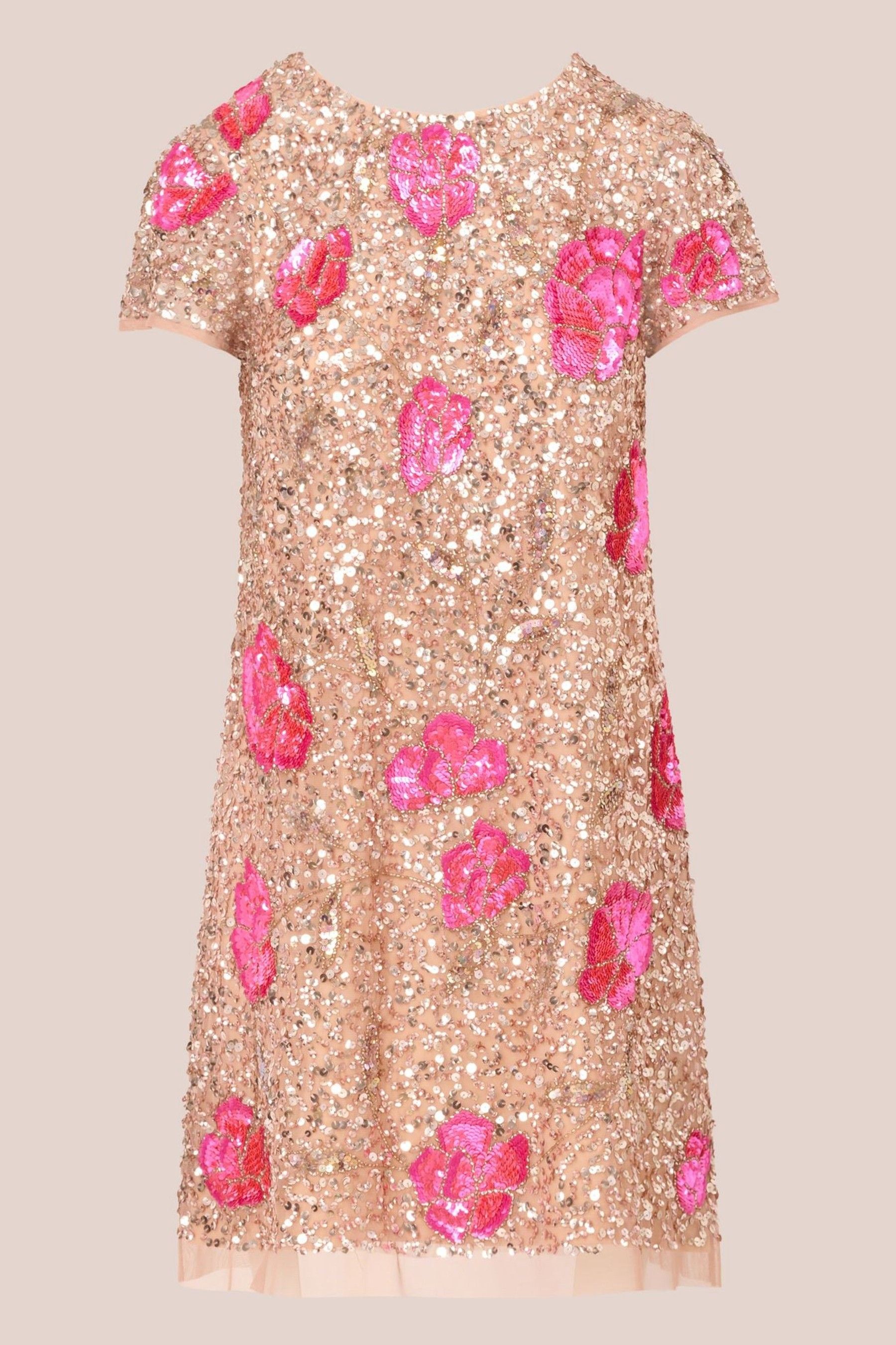 Buy Adrianna Papell Pink Beaded Trapeze Dress from the Next UK online shop