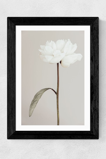 East End Prints Black Peony II Framed Art Print