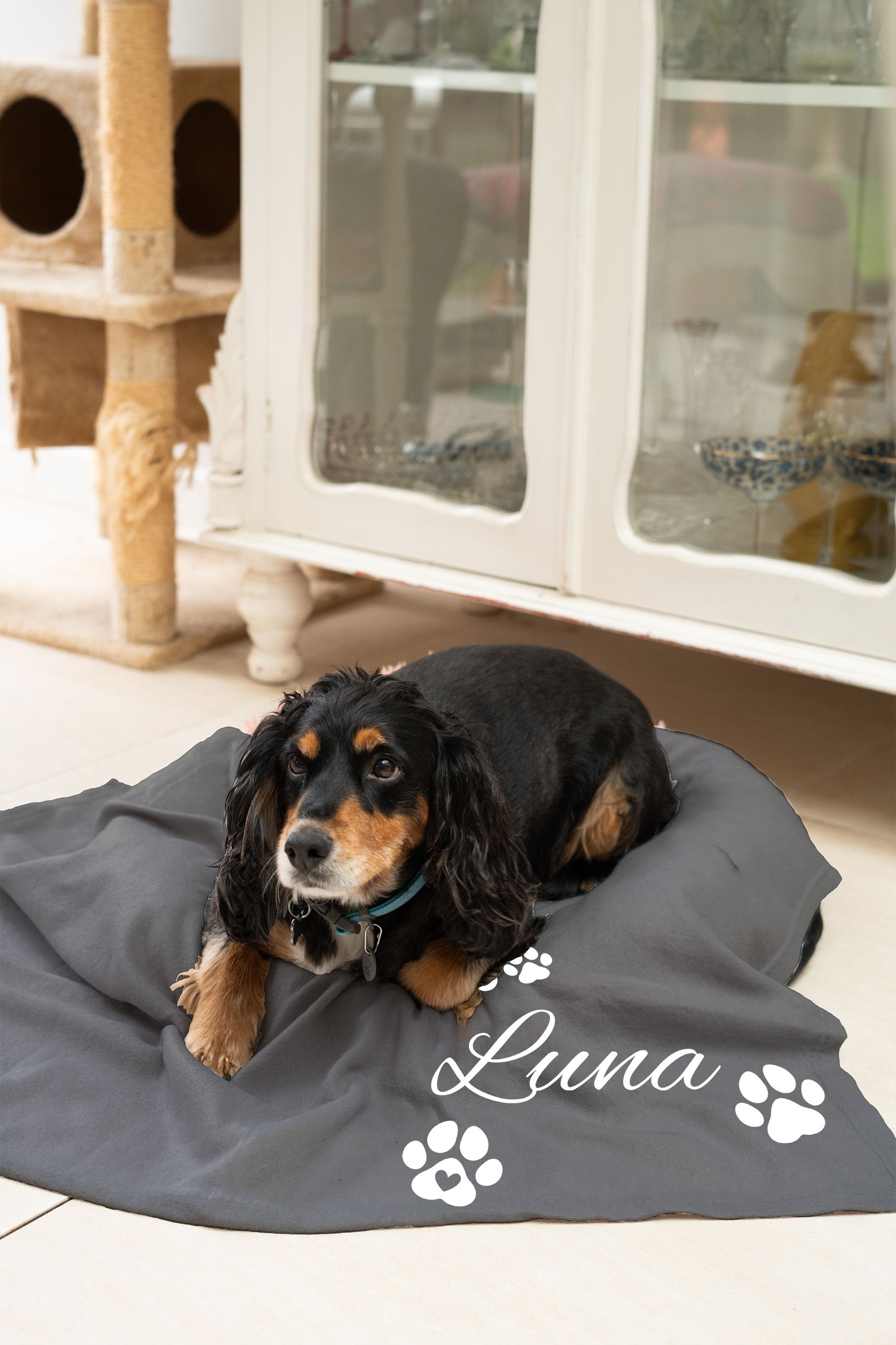 Personalised animal blanket deals