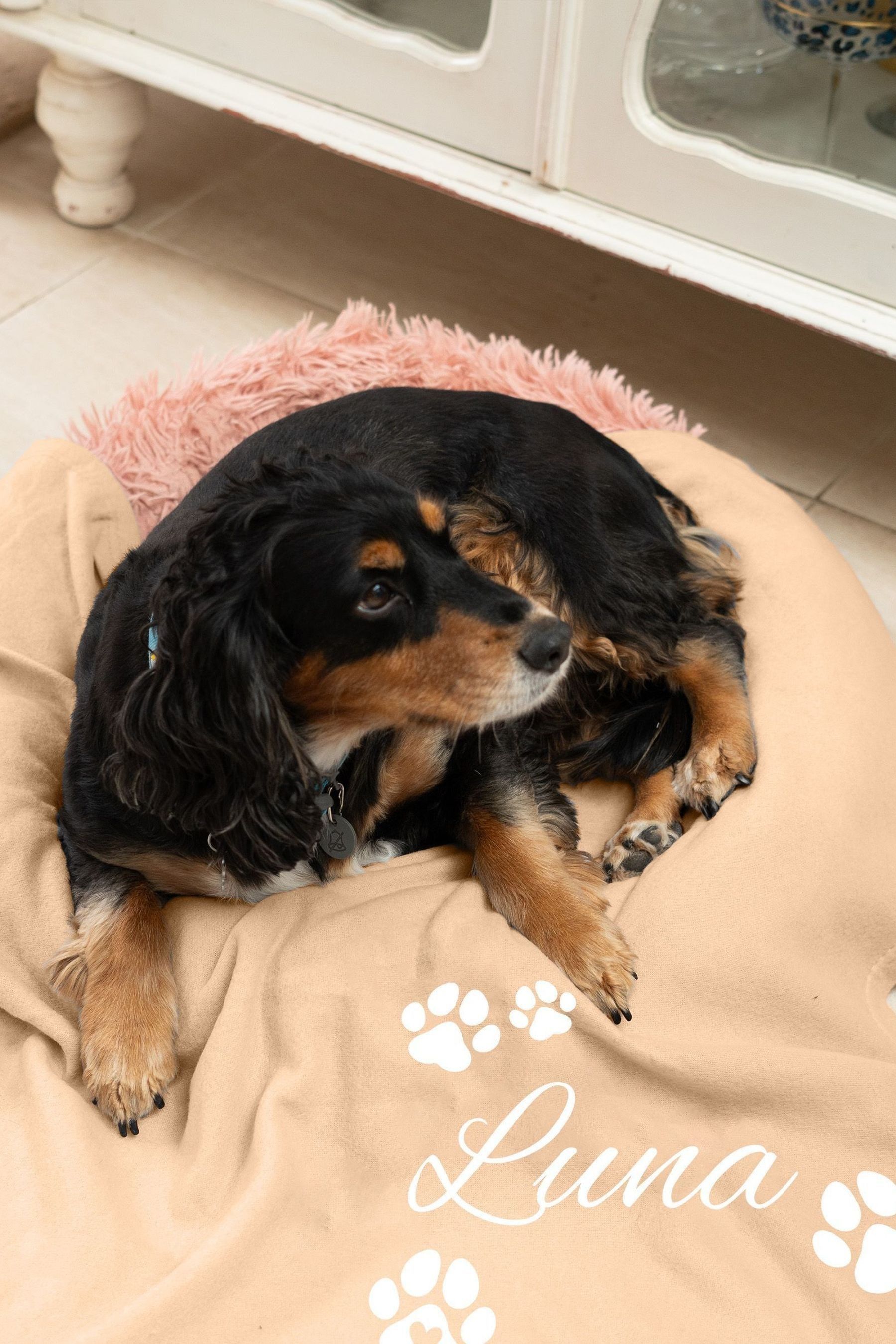 Buy Personalised Fleece Pet Blanket by Jonny s Sister from the Next UK online shop