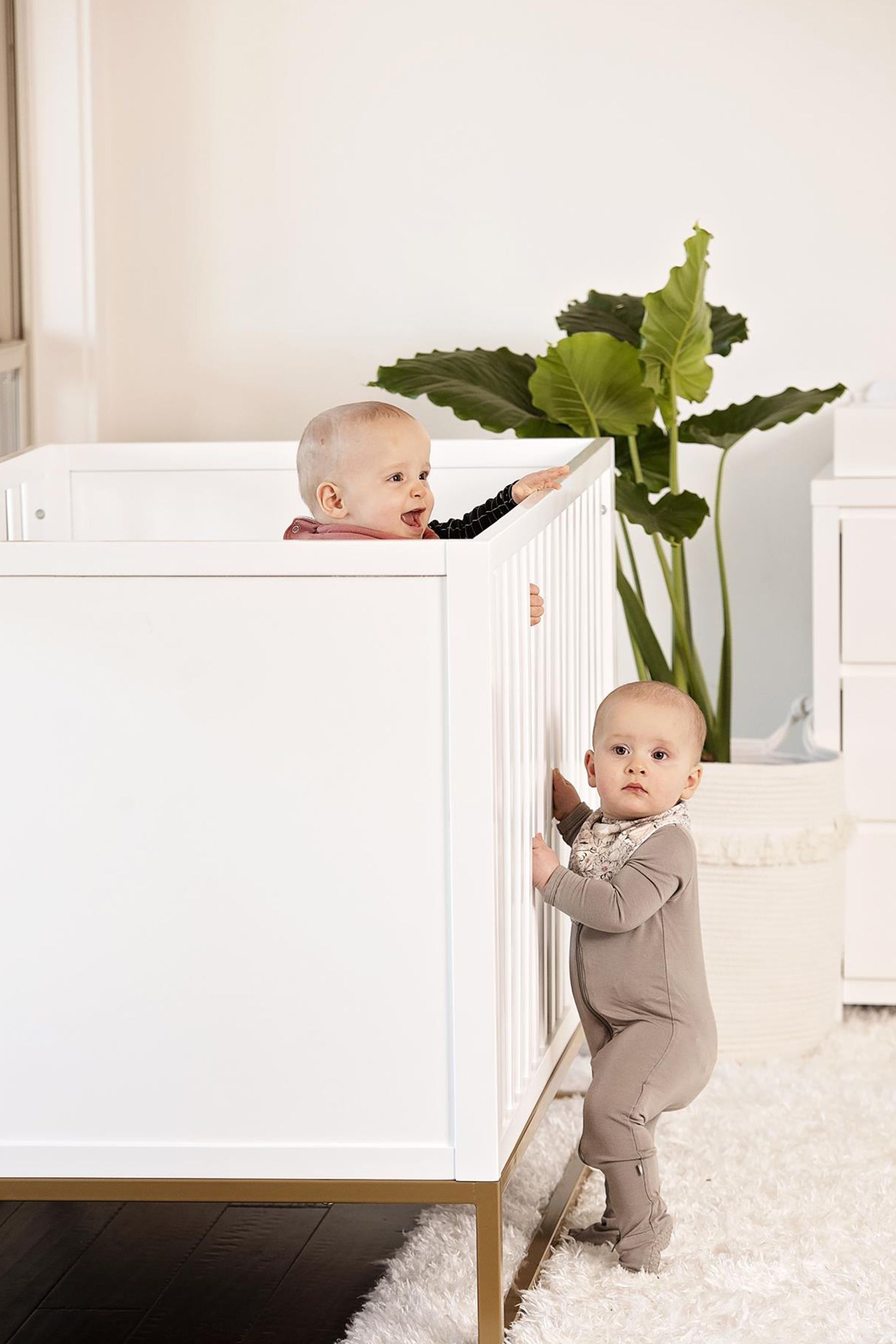 Buy Little Seeds White Gold Haven 3 in 1 Crib with Rail and Gold Base from the Next UK online shop