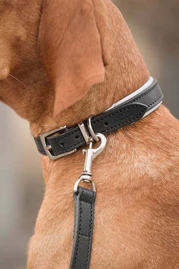 Lords and Labradors Black Grey Italian Leather Dog Collar