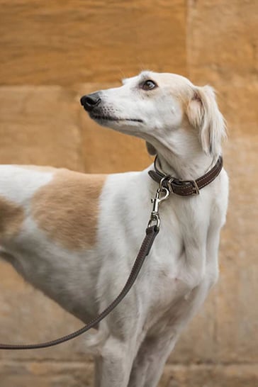 Lords and Labradors Brown Cream Italian Leather Collar Dog Collar