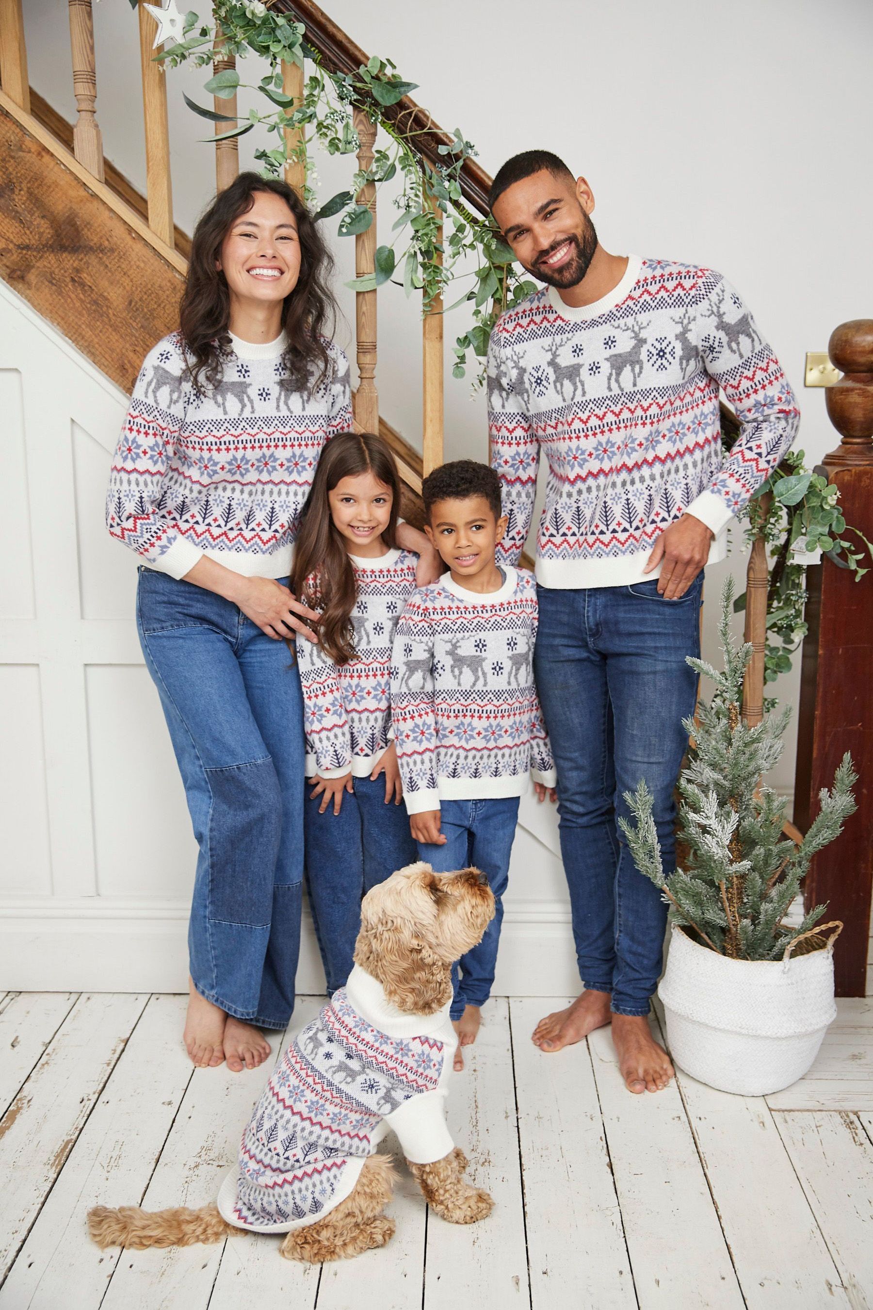 Matching christmas jumpers dog discount
