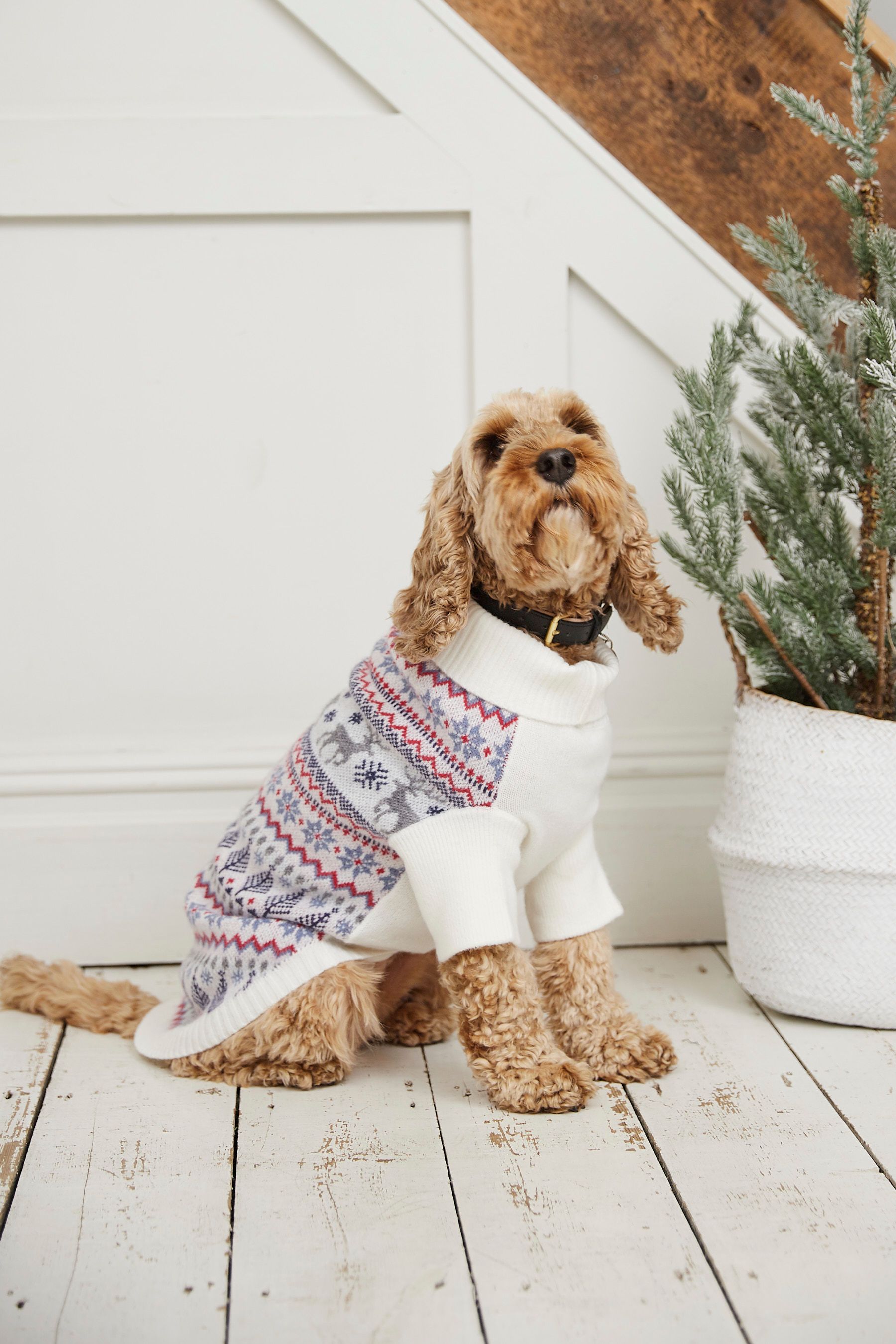 Cocker spaniel christmas jumper sales