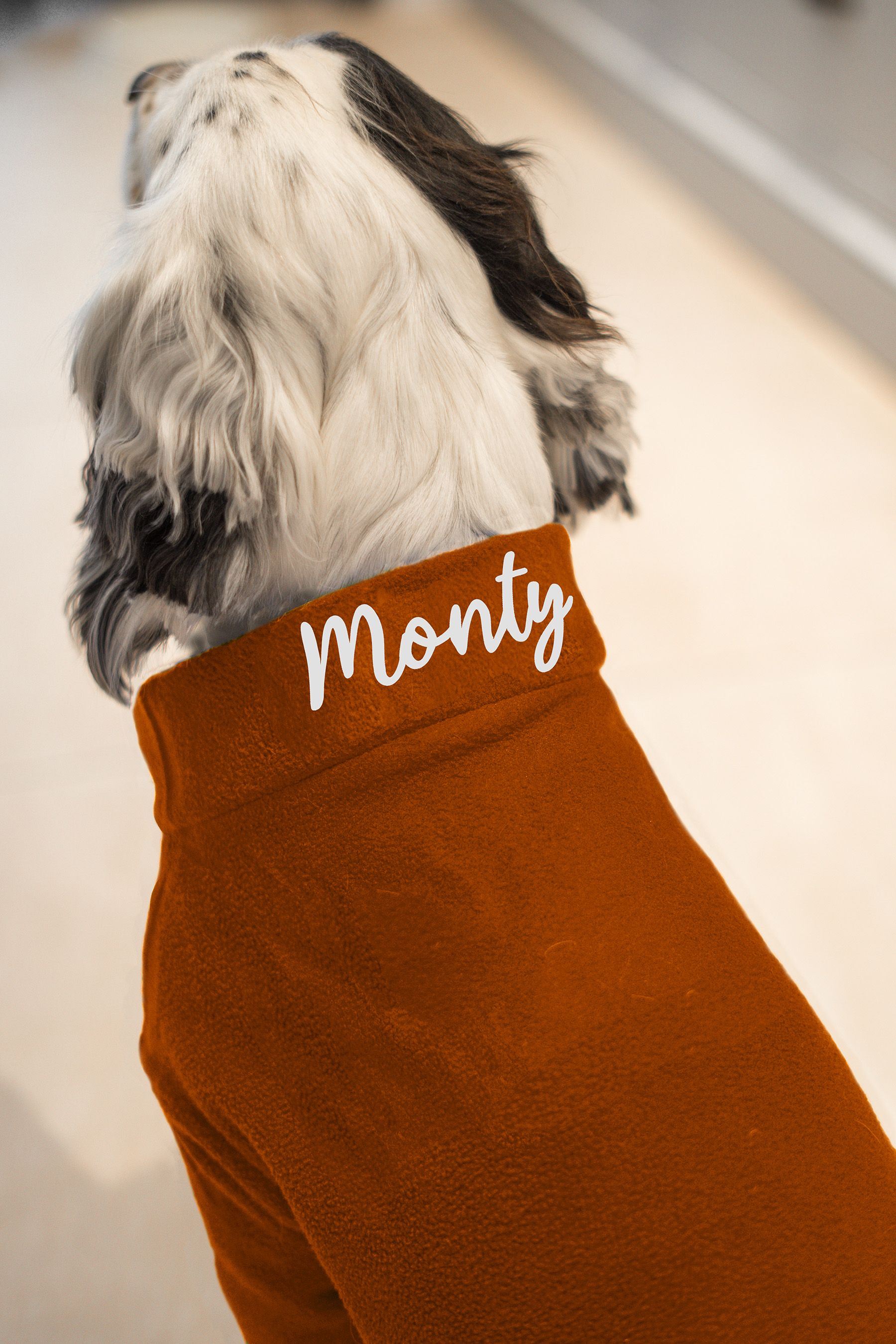 Personalised dog clothes on sale uk