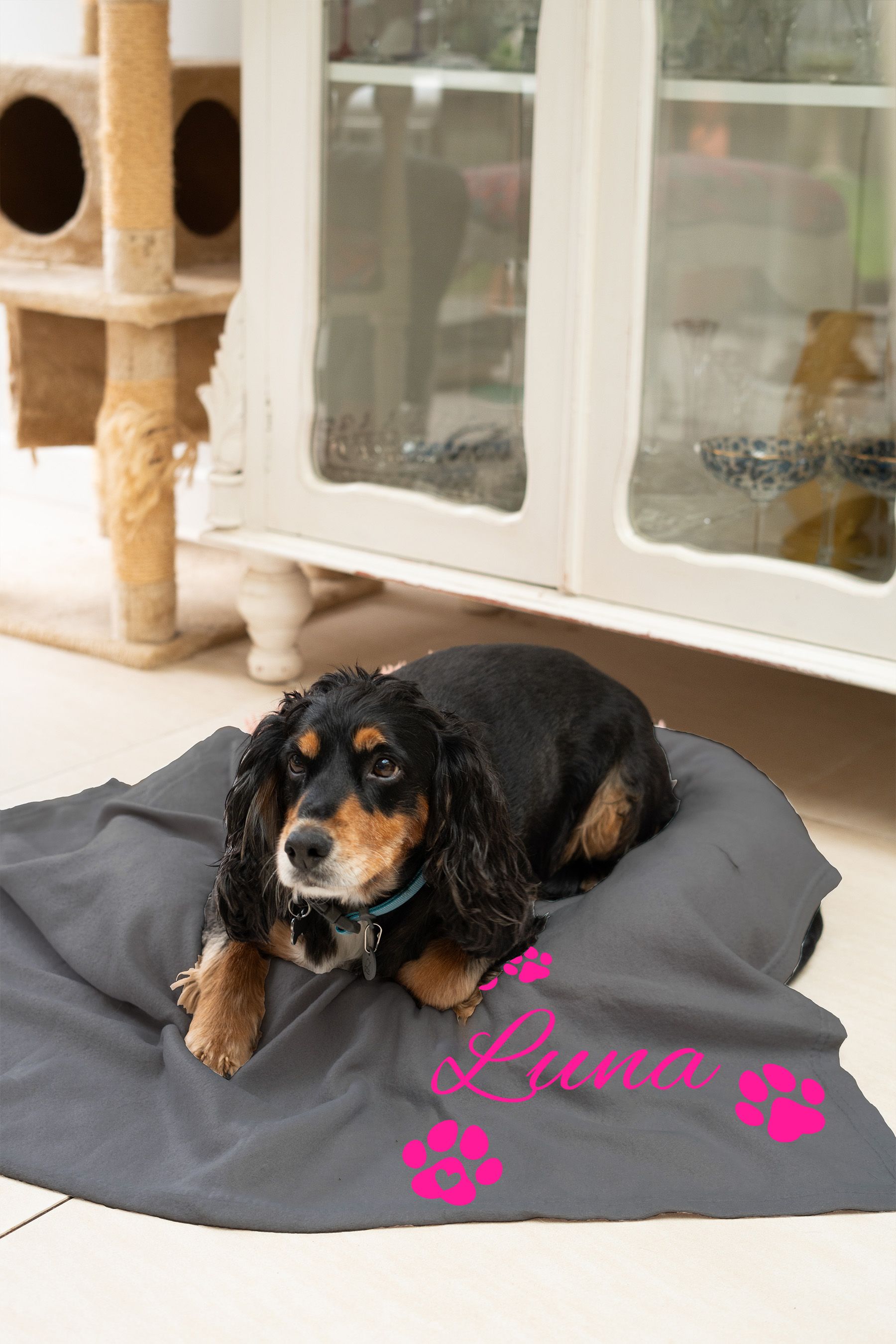 Grey sales pet blanket