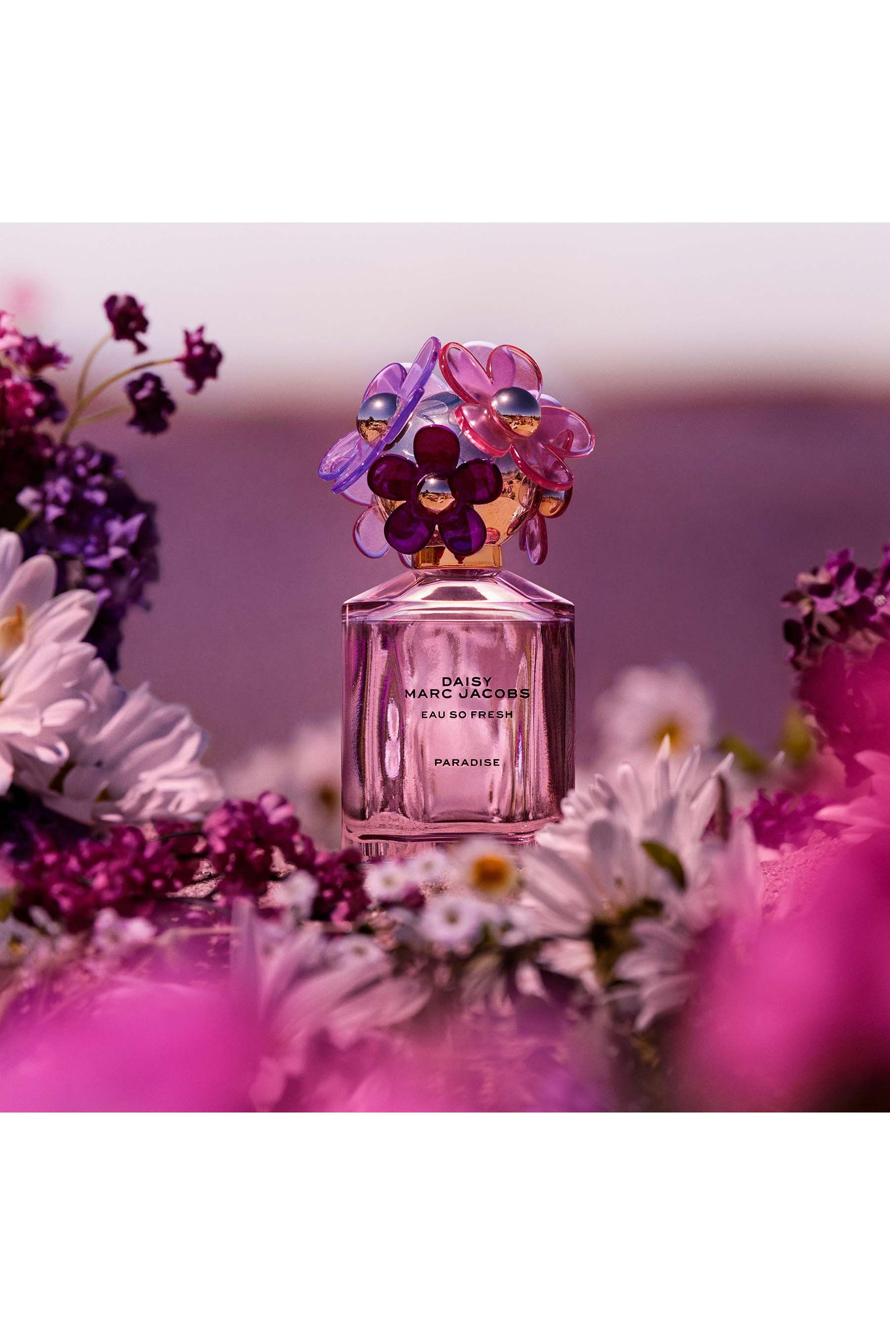 Daisy perfume purple sale