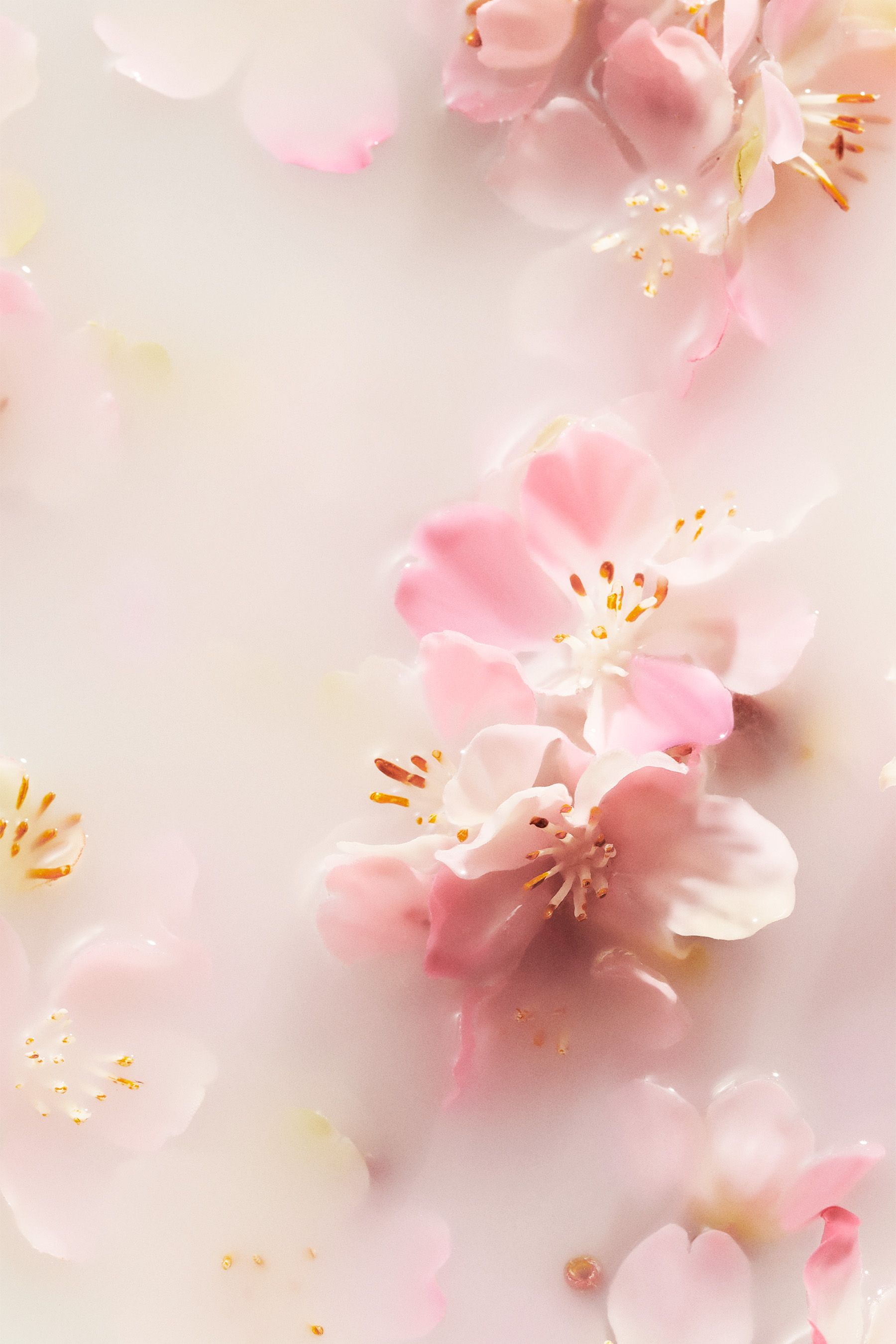 Rituals of sakura hair and body mist discount