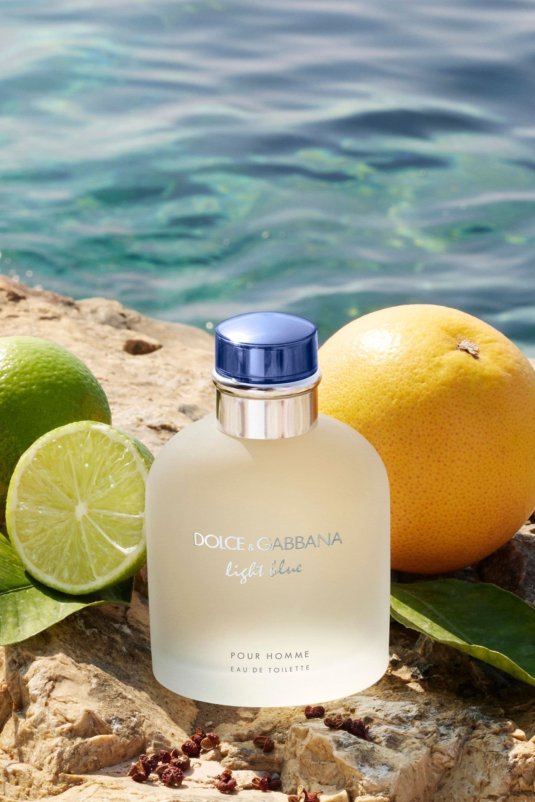 Buy Dolce Gabbana Light Blue Pour Homme Eau de Toilette 125ml from