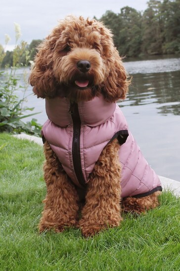 Lipsy Pink Reversible Zip Dog Padded Coat