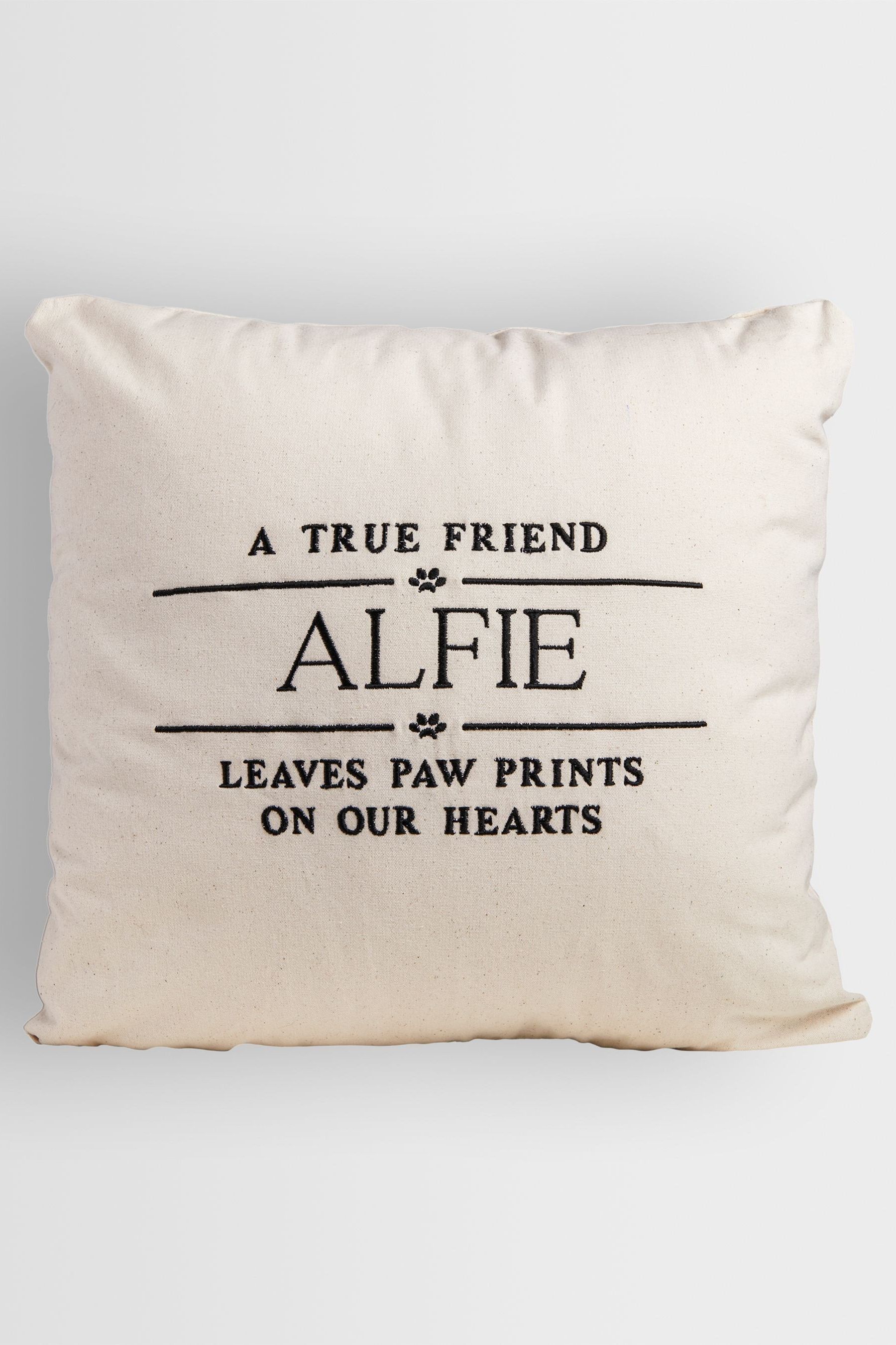 Friend cushion next clearance