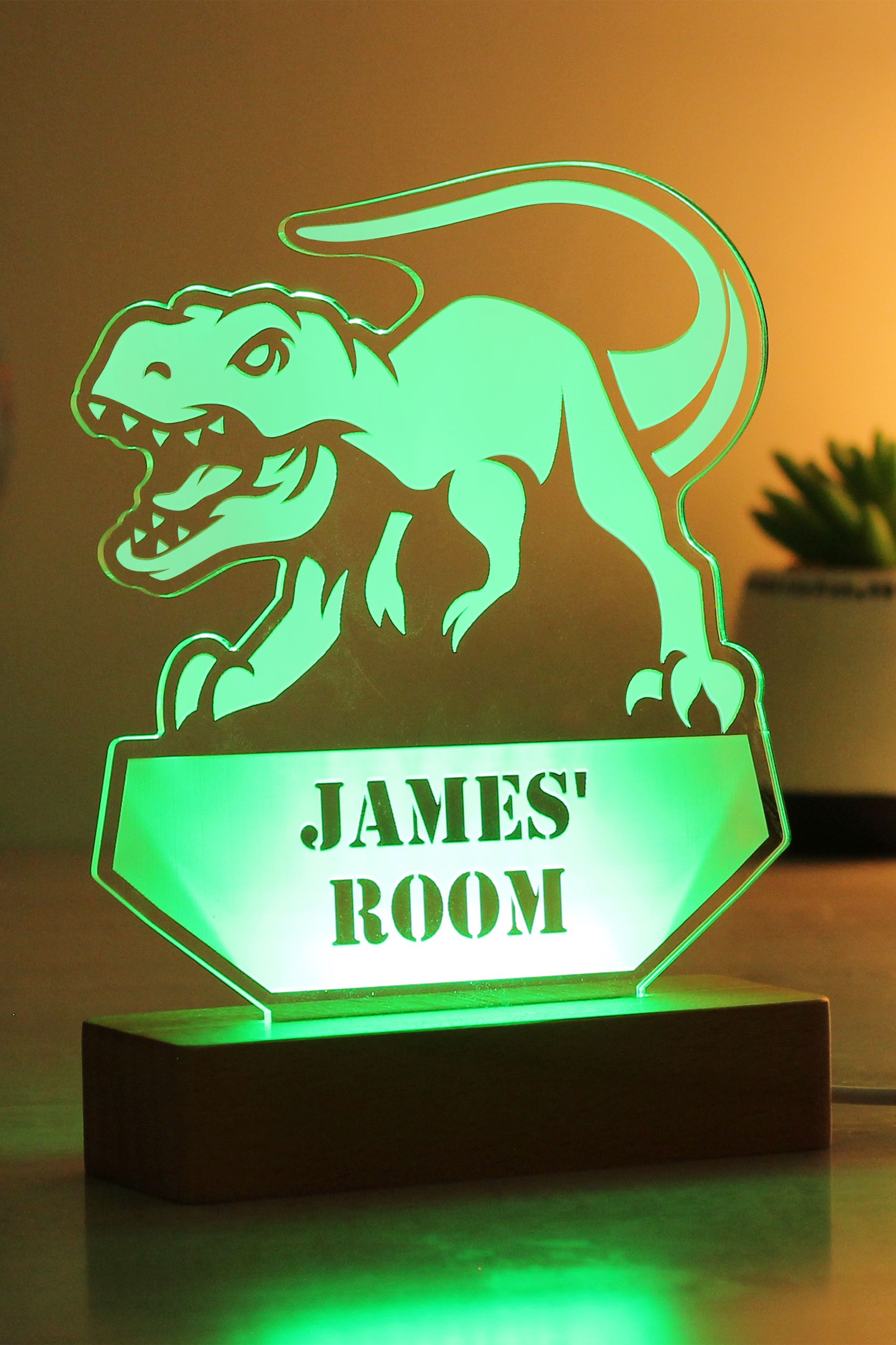 Next top dinosaur light
