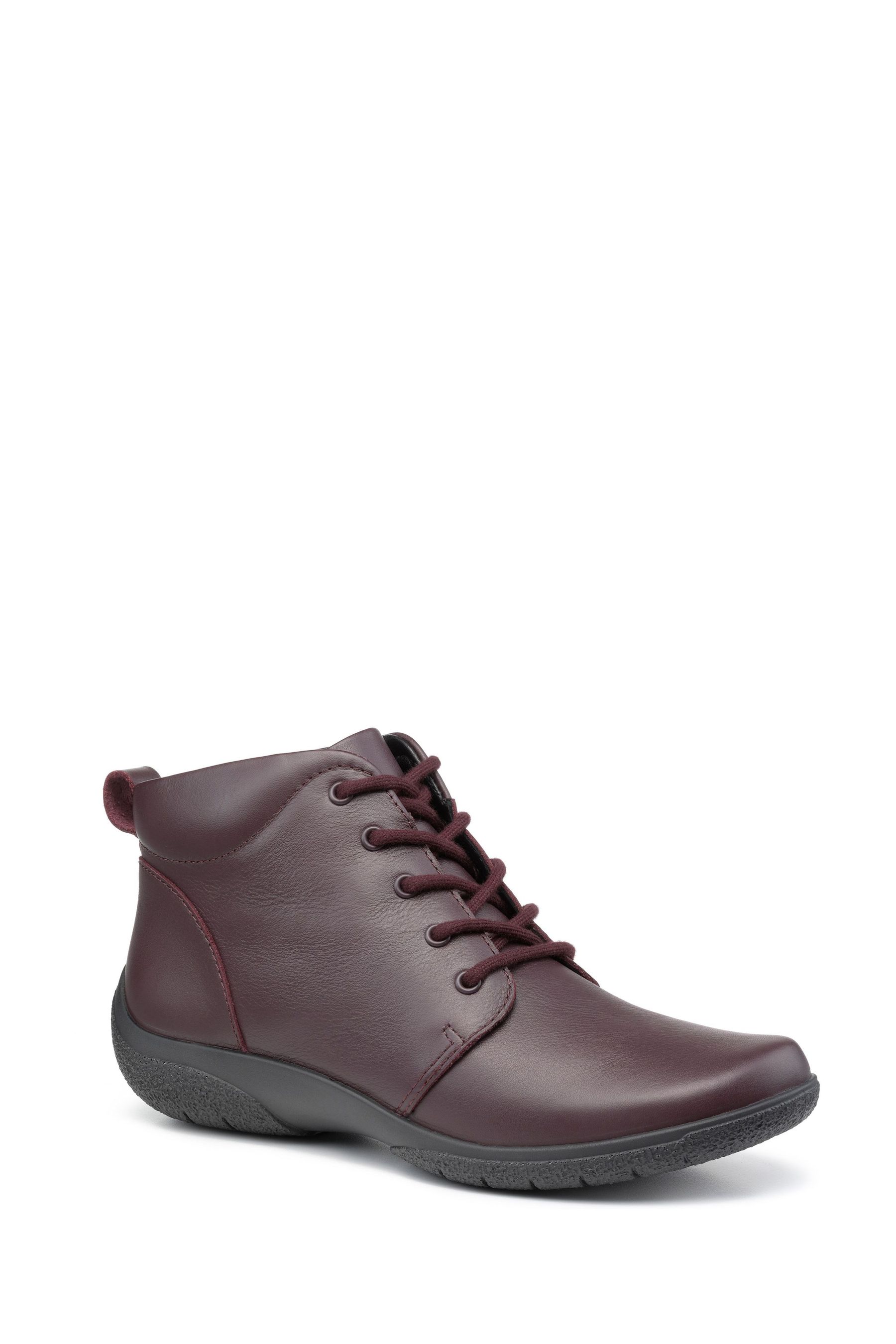 Hotter ellery shop ankle boots