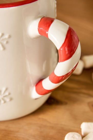 Natural Christmas Pudding Mug