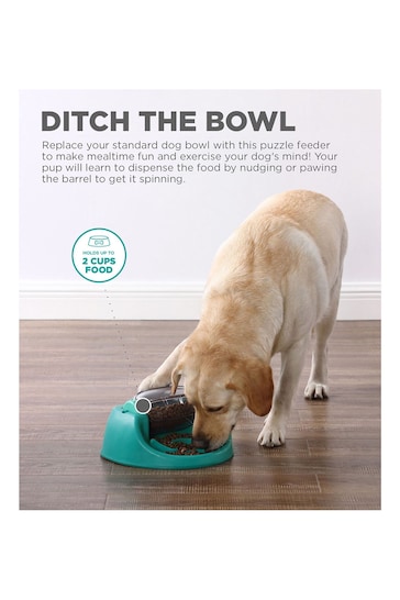Rosewood Green Nina Ottosson Dog Spin N' Eat Dog Toy Challenge