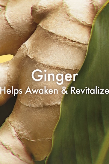 Origins Ginger Essence Sensuous Skin Scent 100ml