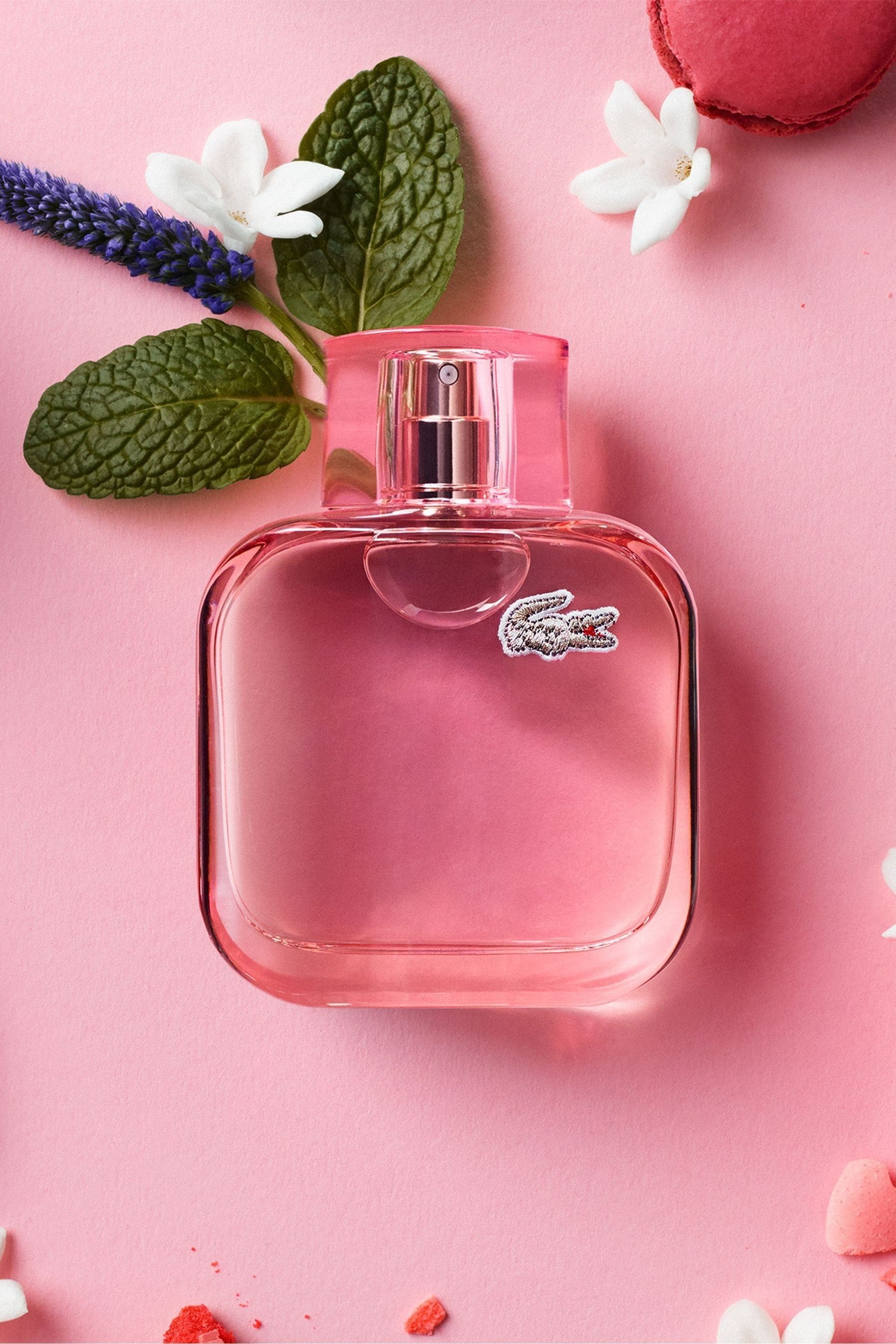 Lacoste pour hotsell elle elegant 50ml