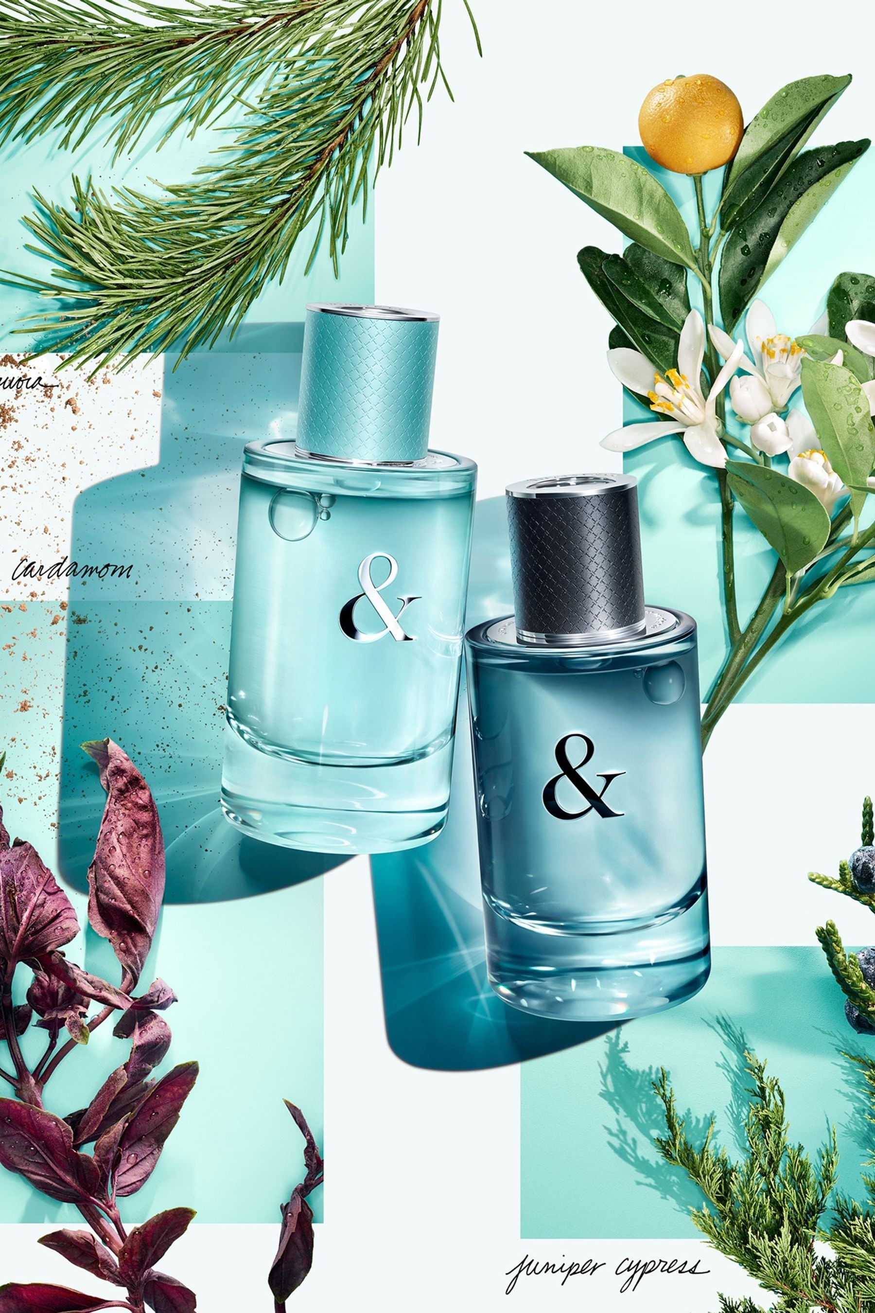 Tiffany & co 2025 love for him 90ml