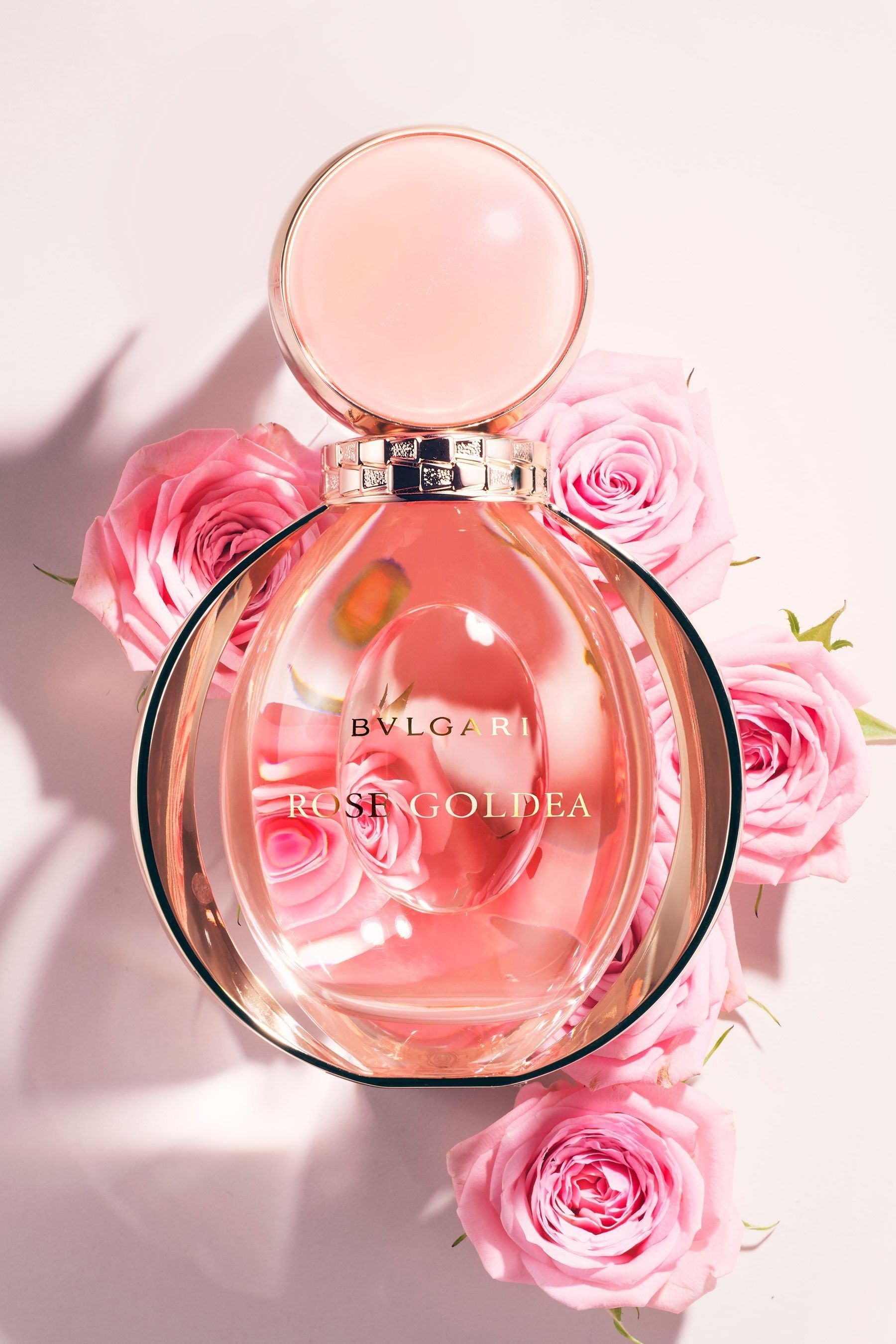 Bvlgari rose sales goldea 25ml price