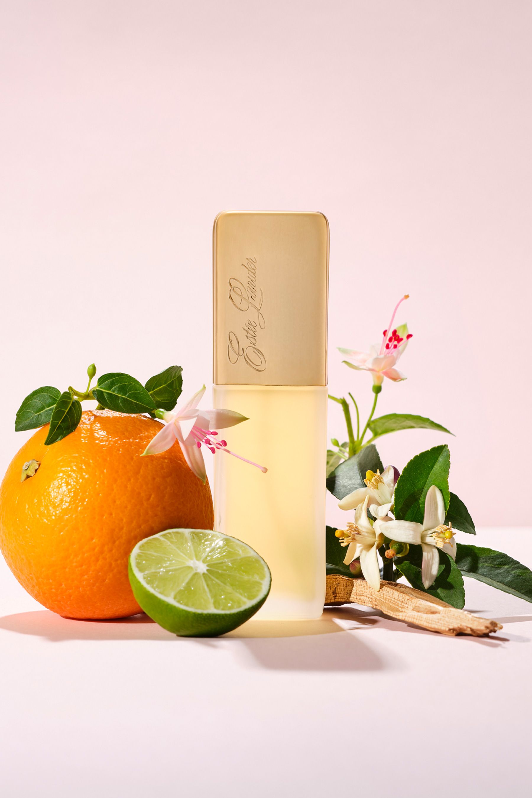 Buy Est e Lauder Private Collection Eau De Parfum Spray 50ml from