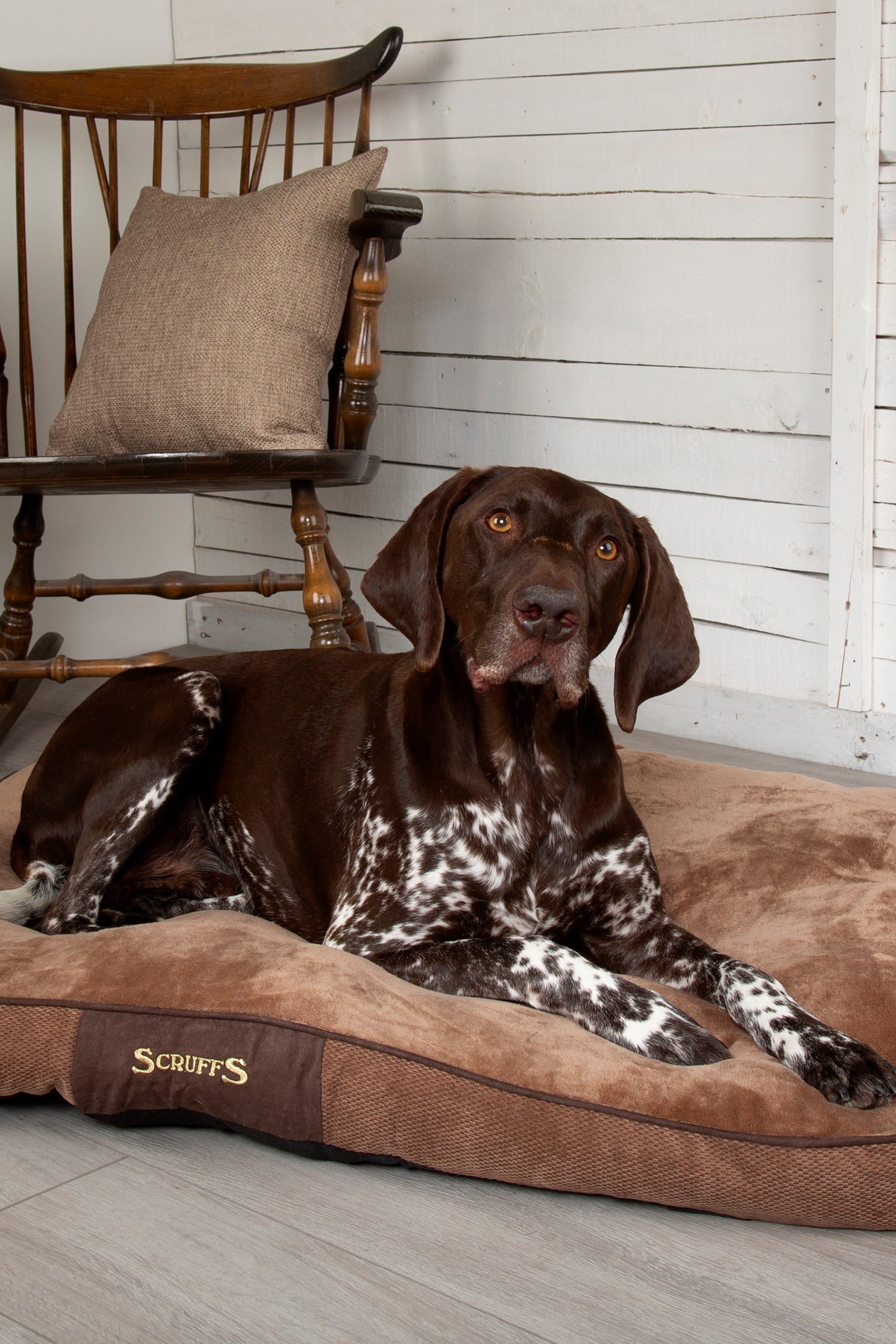 Scruffs chester dog mattress on sale