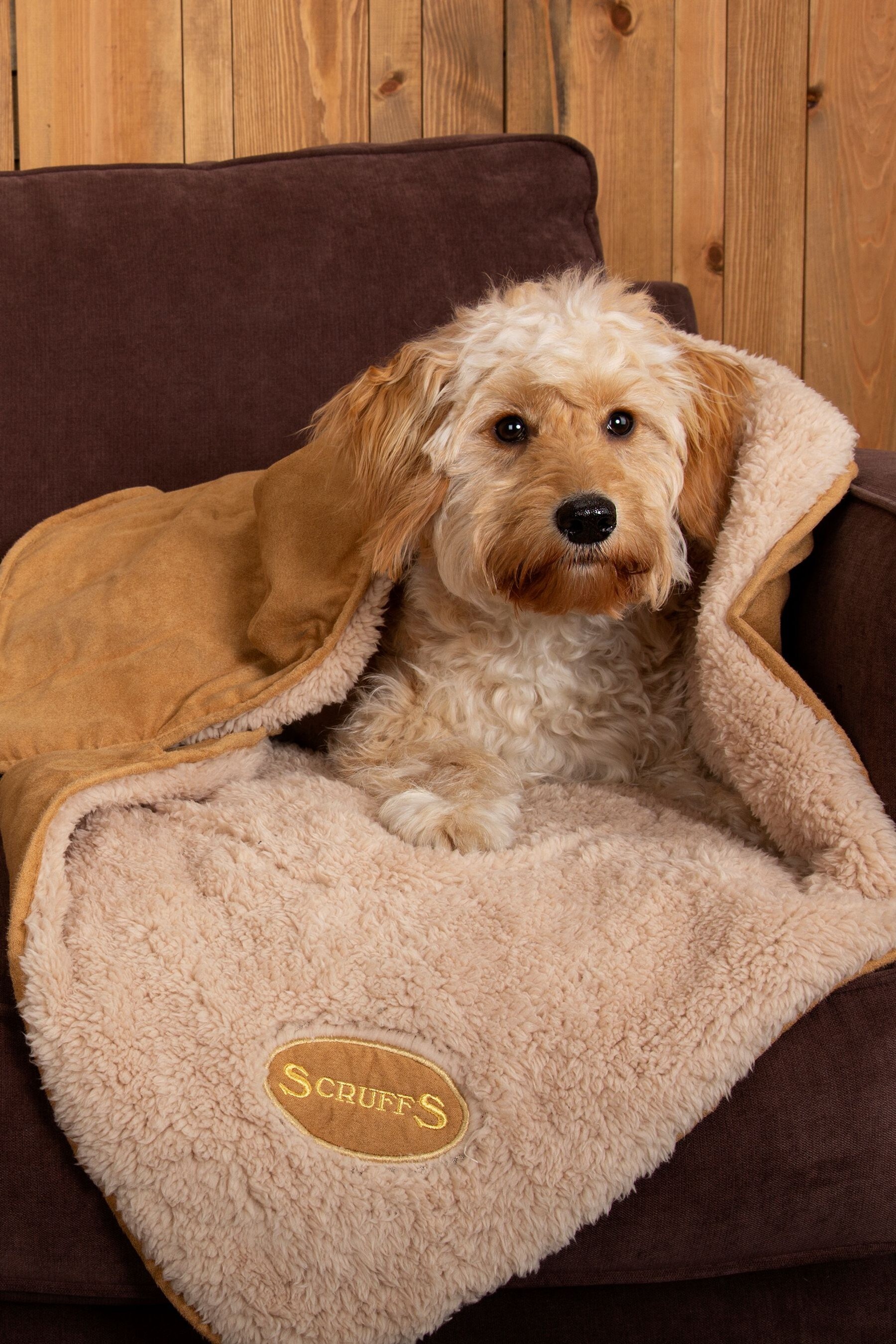 Scruffs cosy online blanket