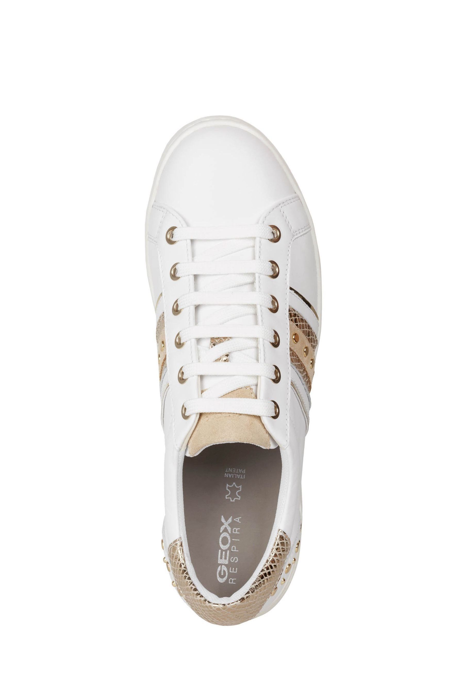 Geox online jaysen trainers