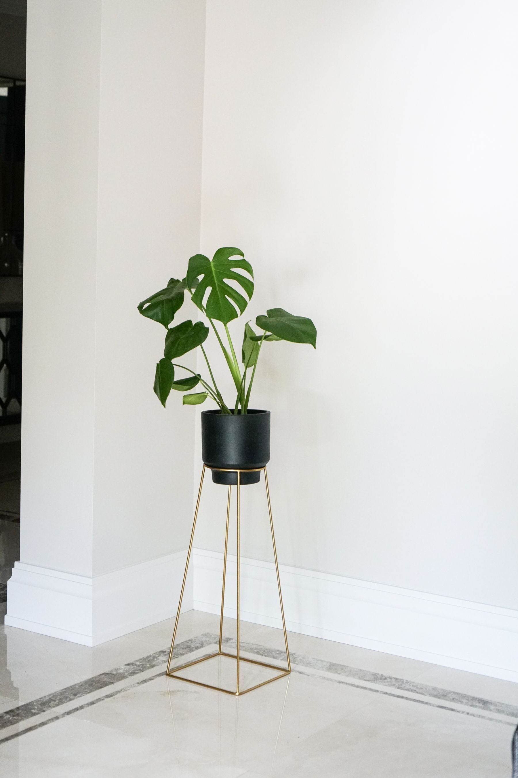 Buy Ivyline Gold Garden Minimo Large Plant Stand from the Next UK