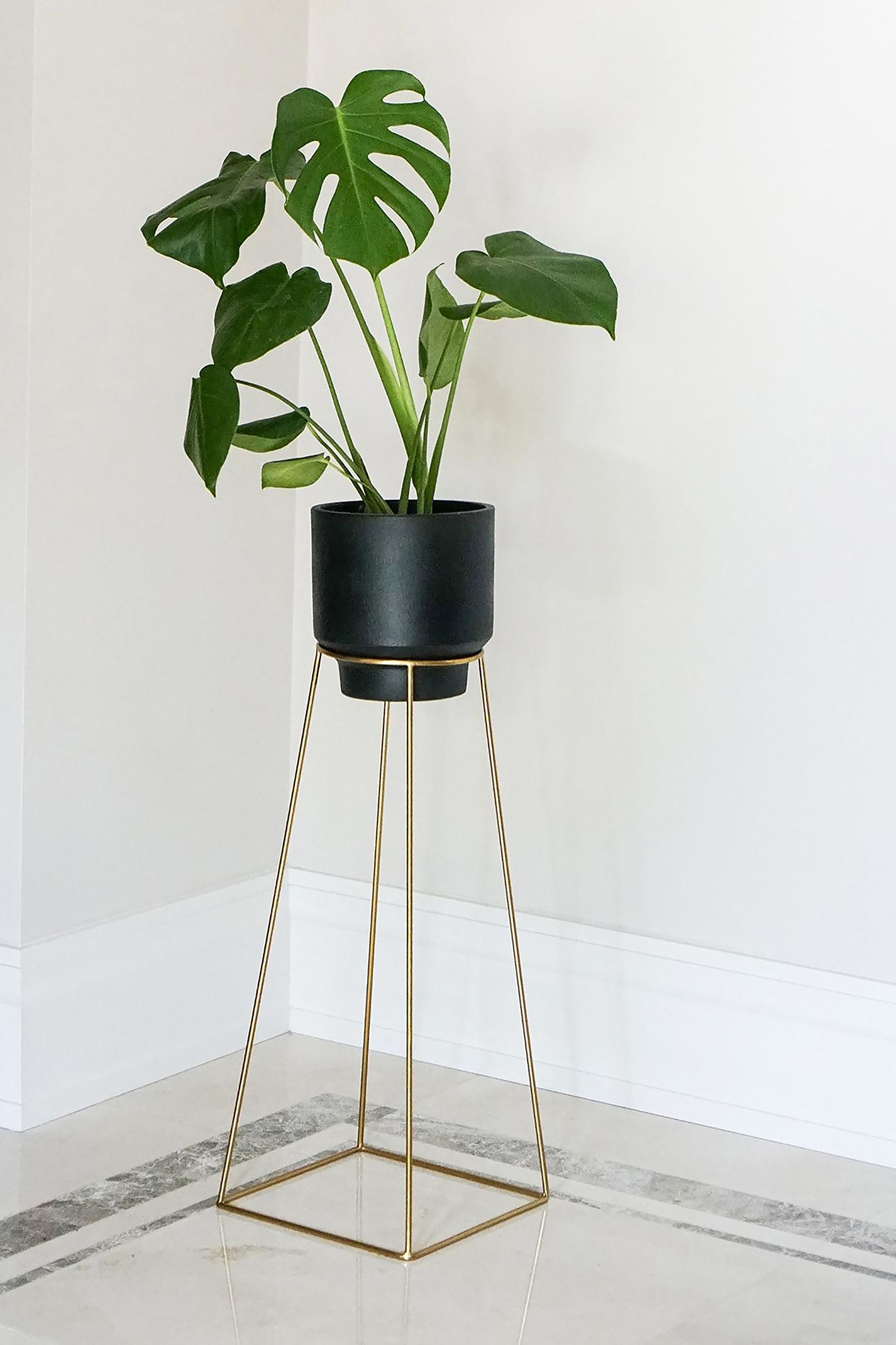 Small deals plant stand