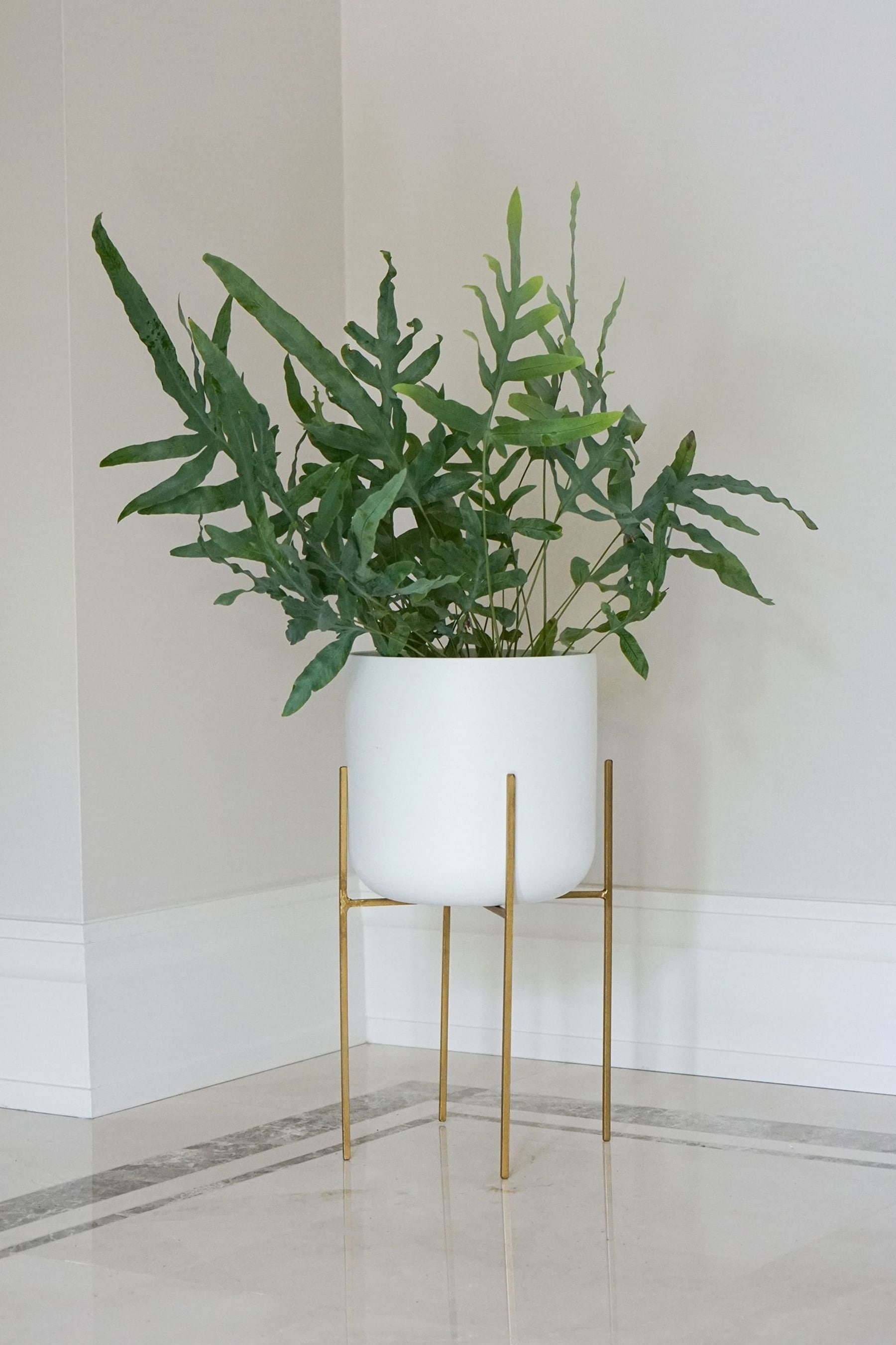 White plant shop stand