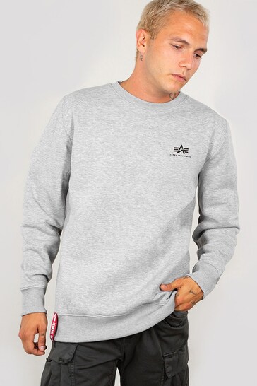 Buy Alpha Industries Grey Small Logo Basic Sweater from the Next UK online  shop
