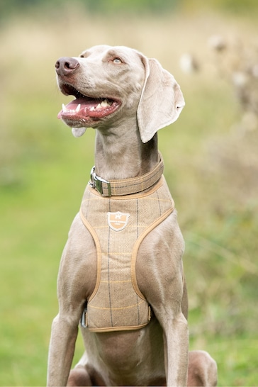 Hugo & Hudson Brown Dog Harness