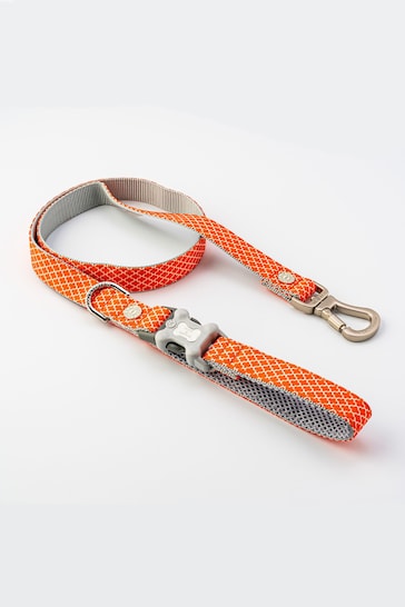 Orange Hugo & Hudson Orange Orange Geometric Dog Lead