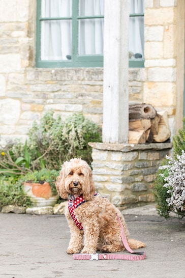 Red Hugo & Hudson Red Star Dog Lead