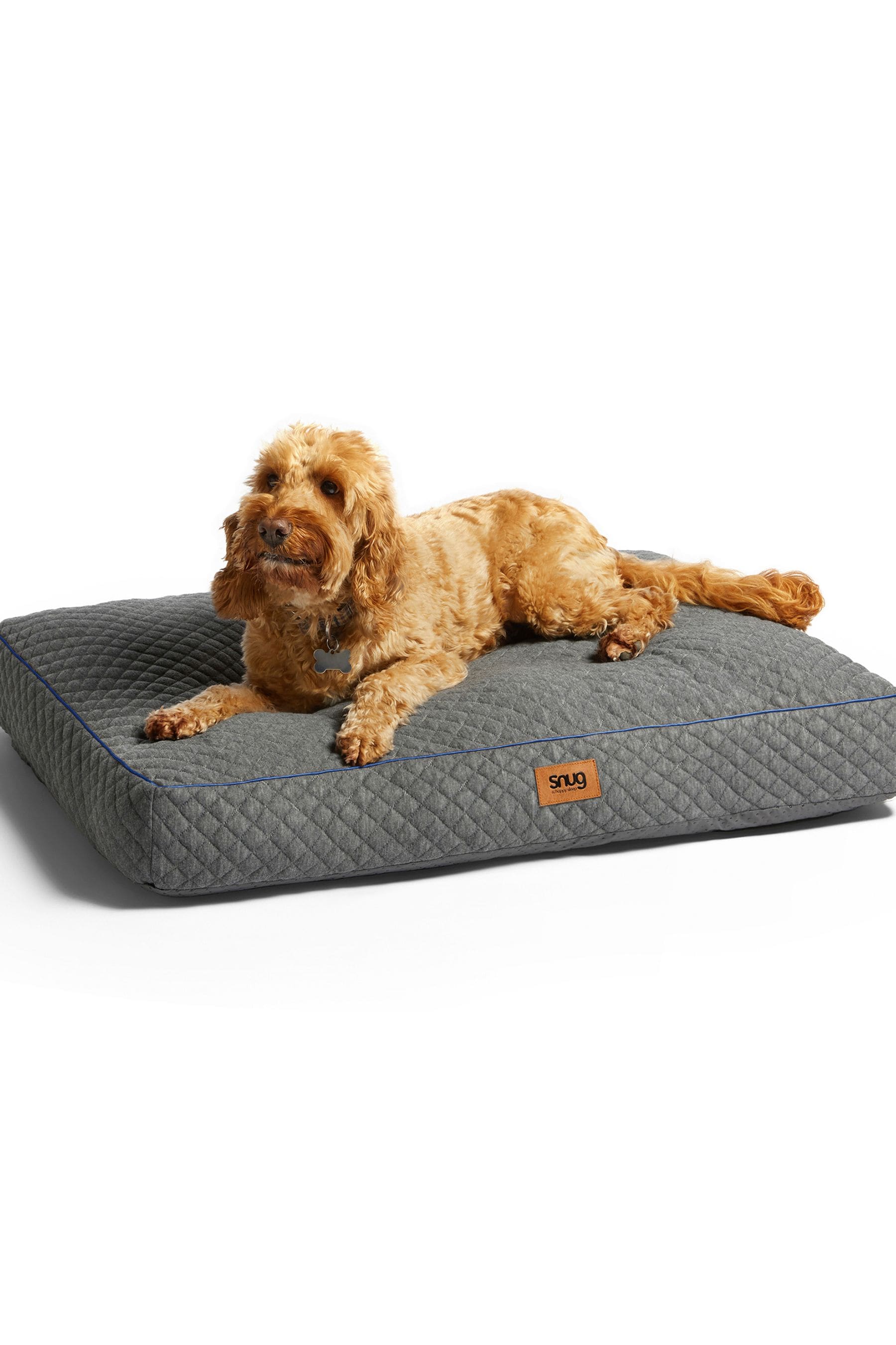 Dog bed store next day delivery
