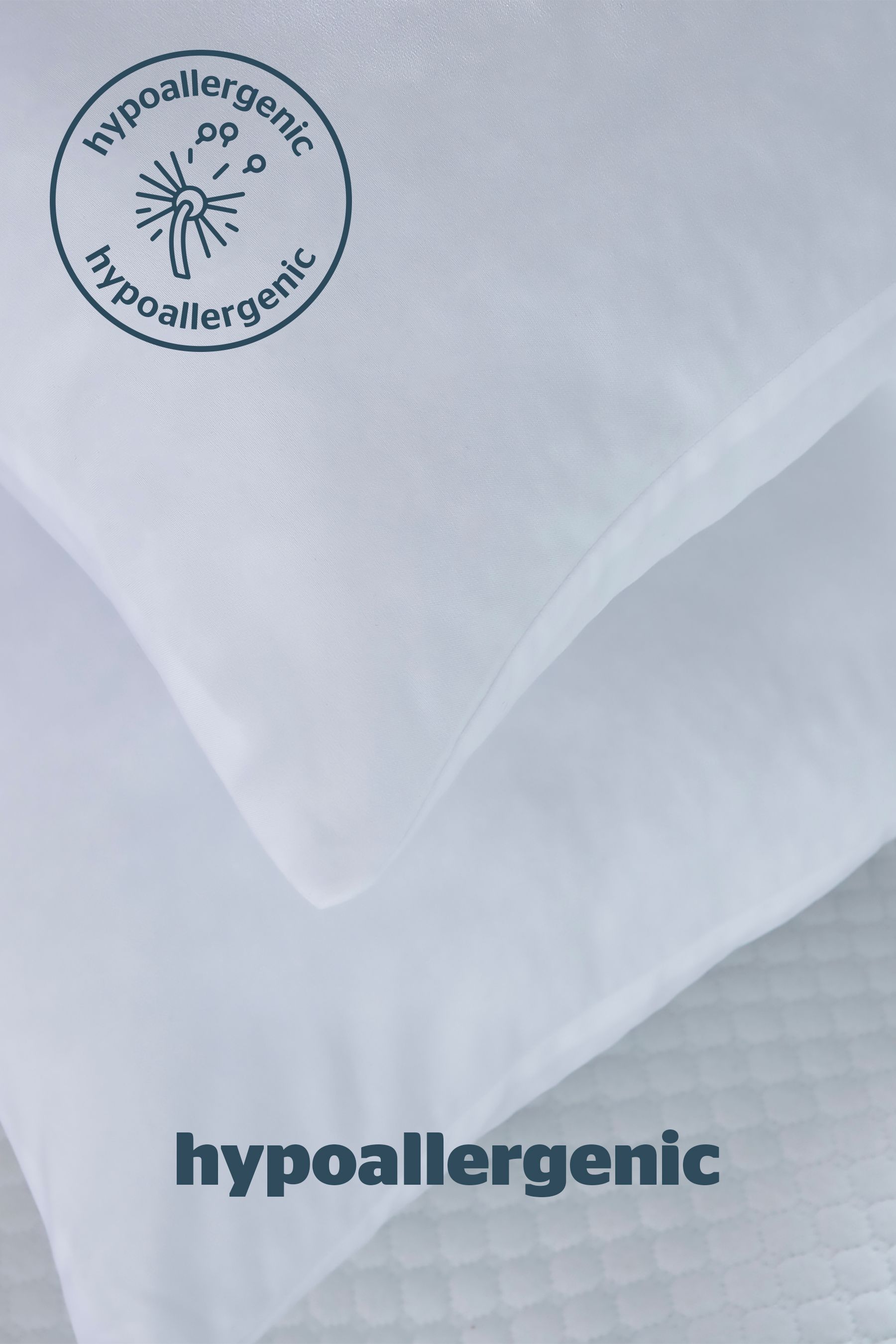 Silentnight soft as silk pillows online