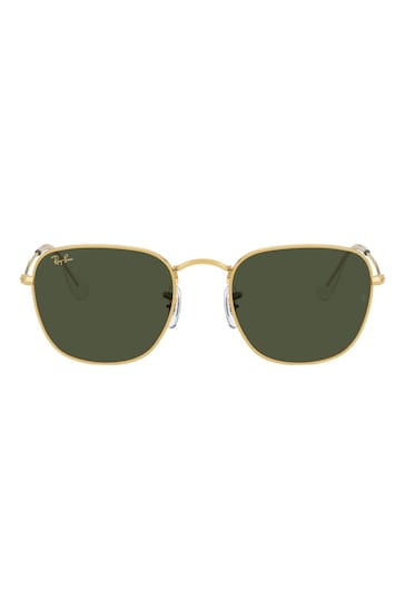 Ray-Ban Frank Gold Frame Sunglasses