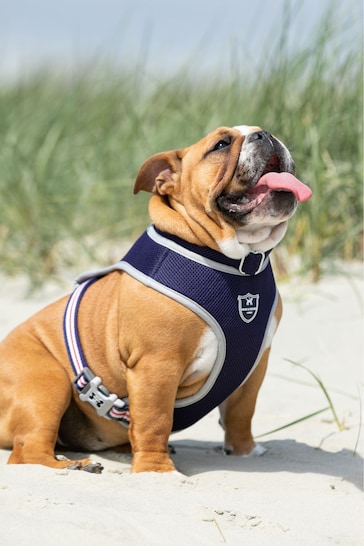 Hugo & Hudson Navy Mesh Dog Collar