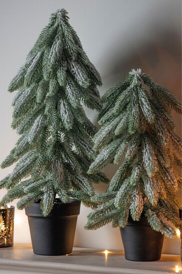 Gallery Home Natural Christmas Snowy Spruce With Pot 59cm