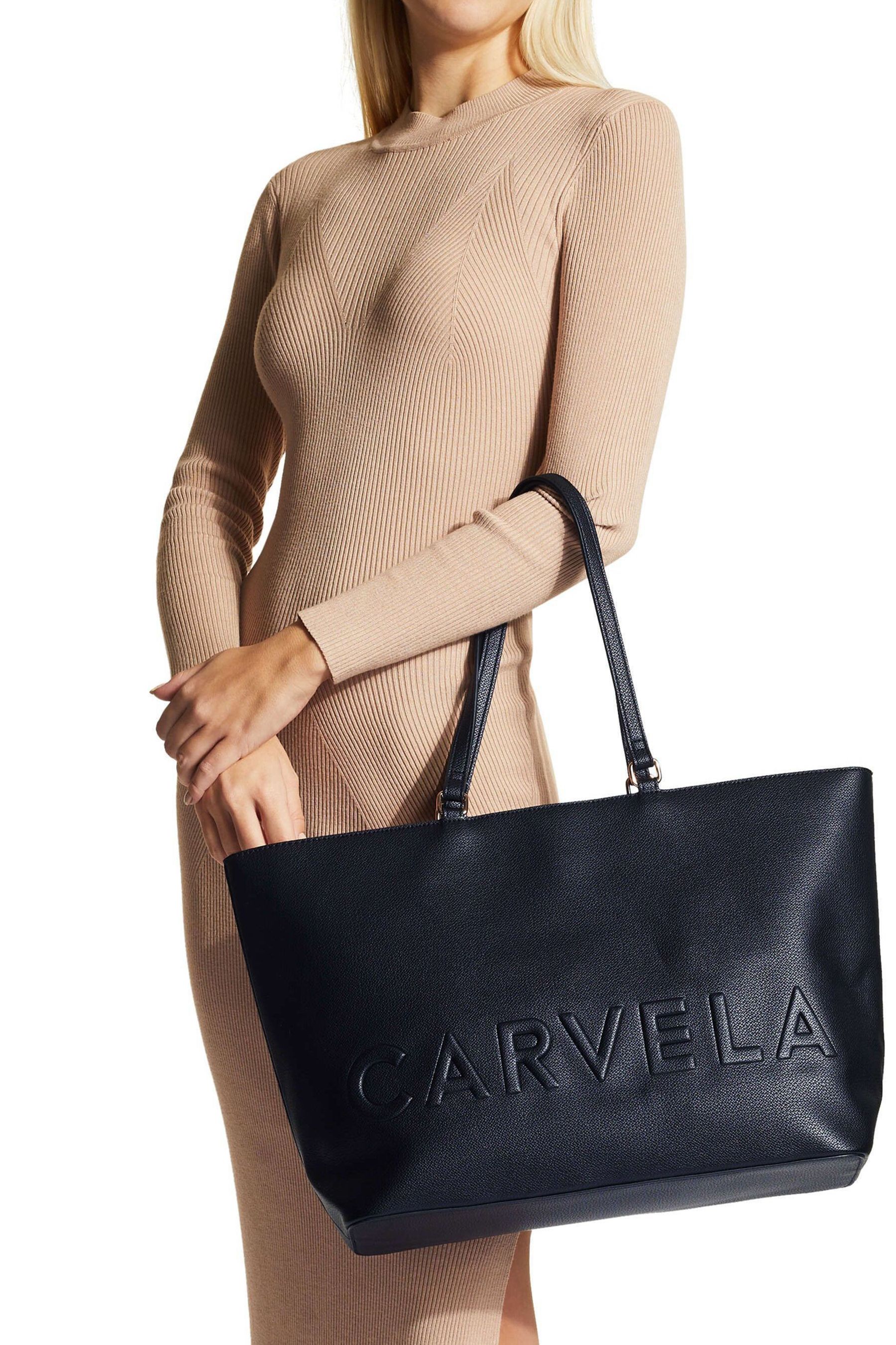Buy Carvela Frame Winged Shopper Black Bag from the Next UK online